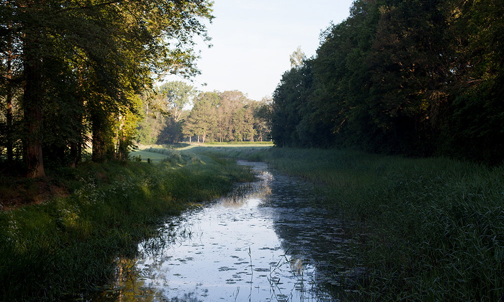- image: 13