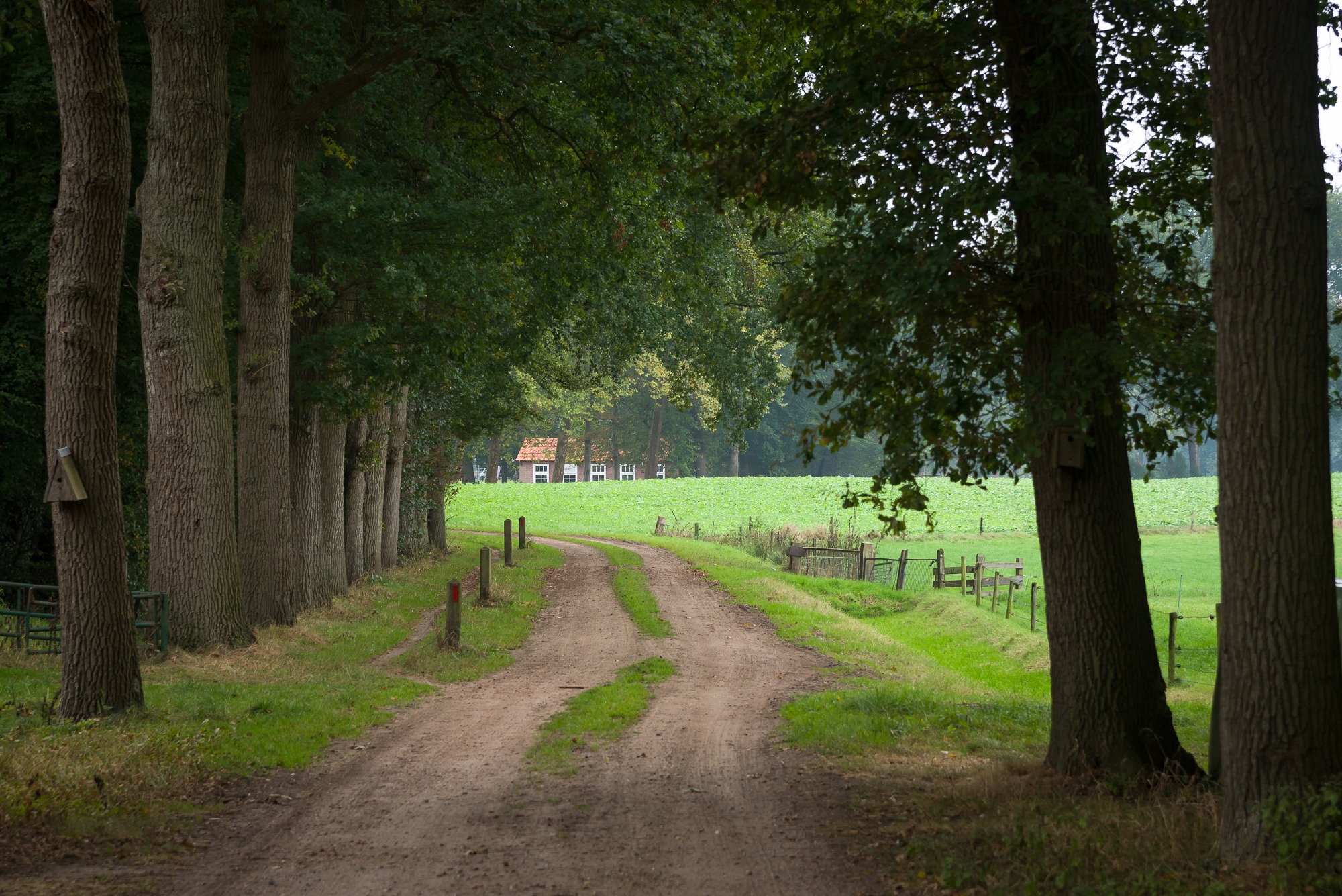 - image: 26