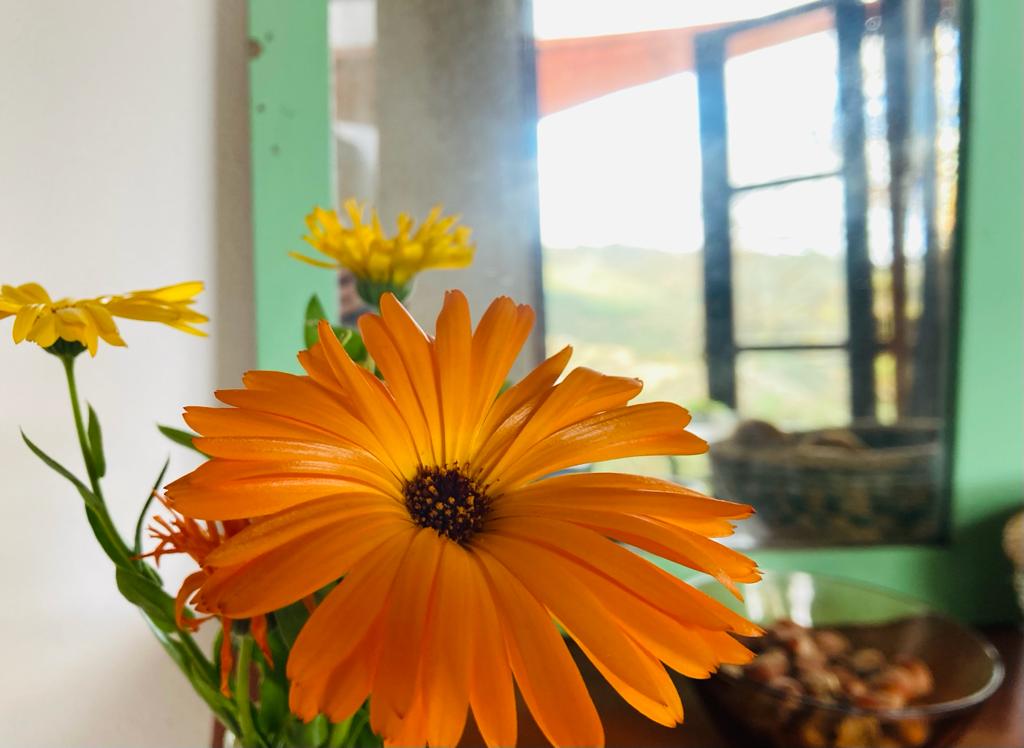 Maison nature à Avô
