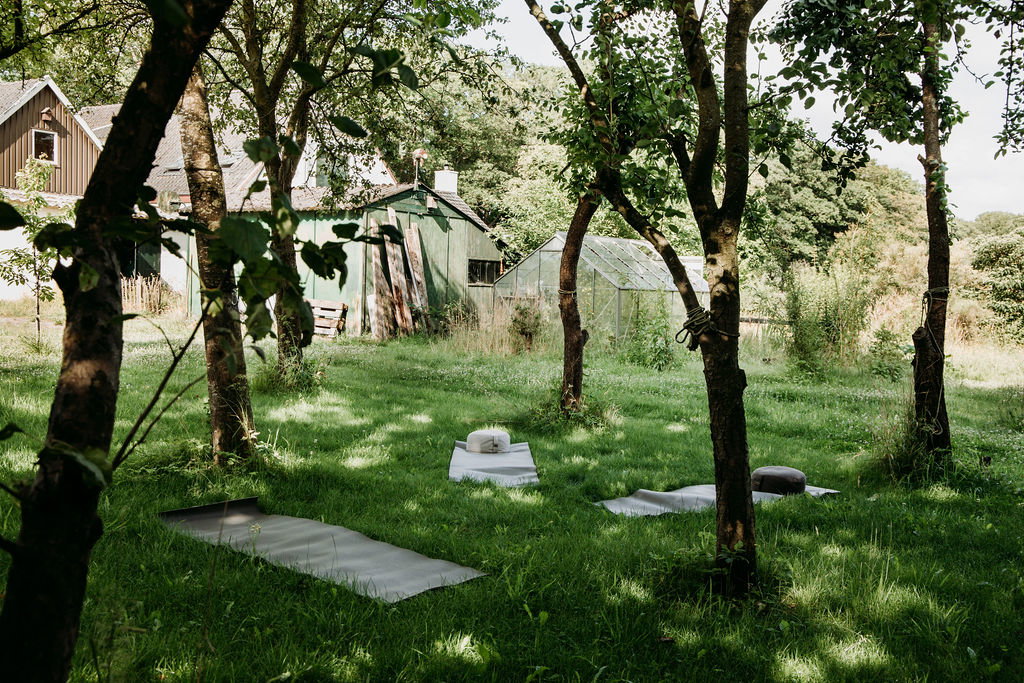 - image: 23