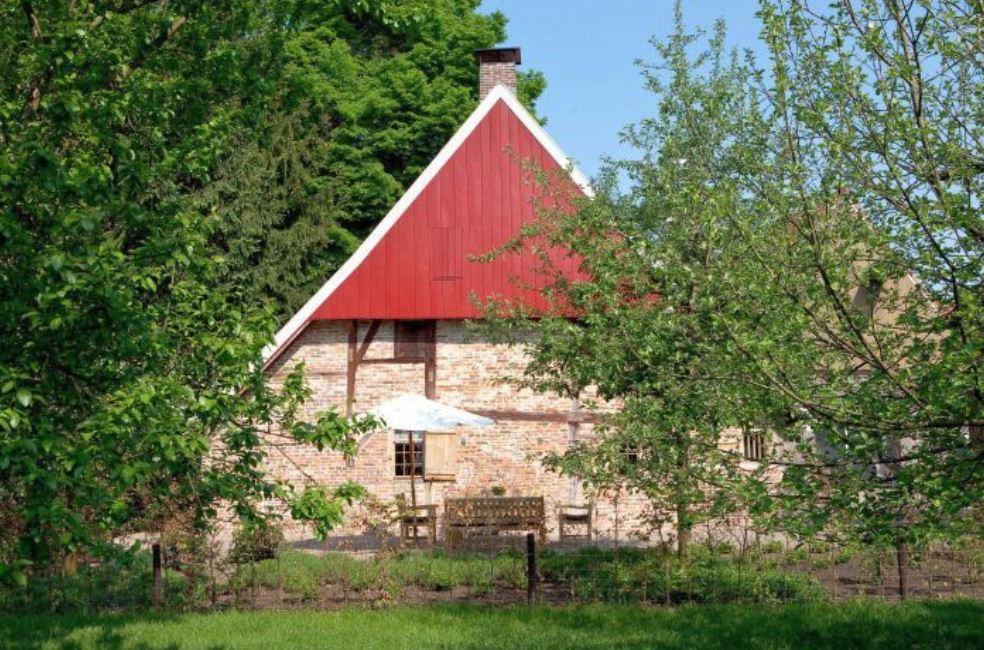 - image: 11