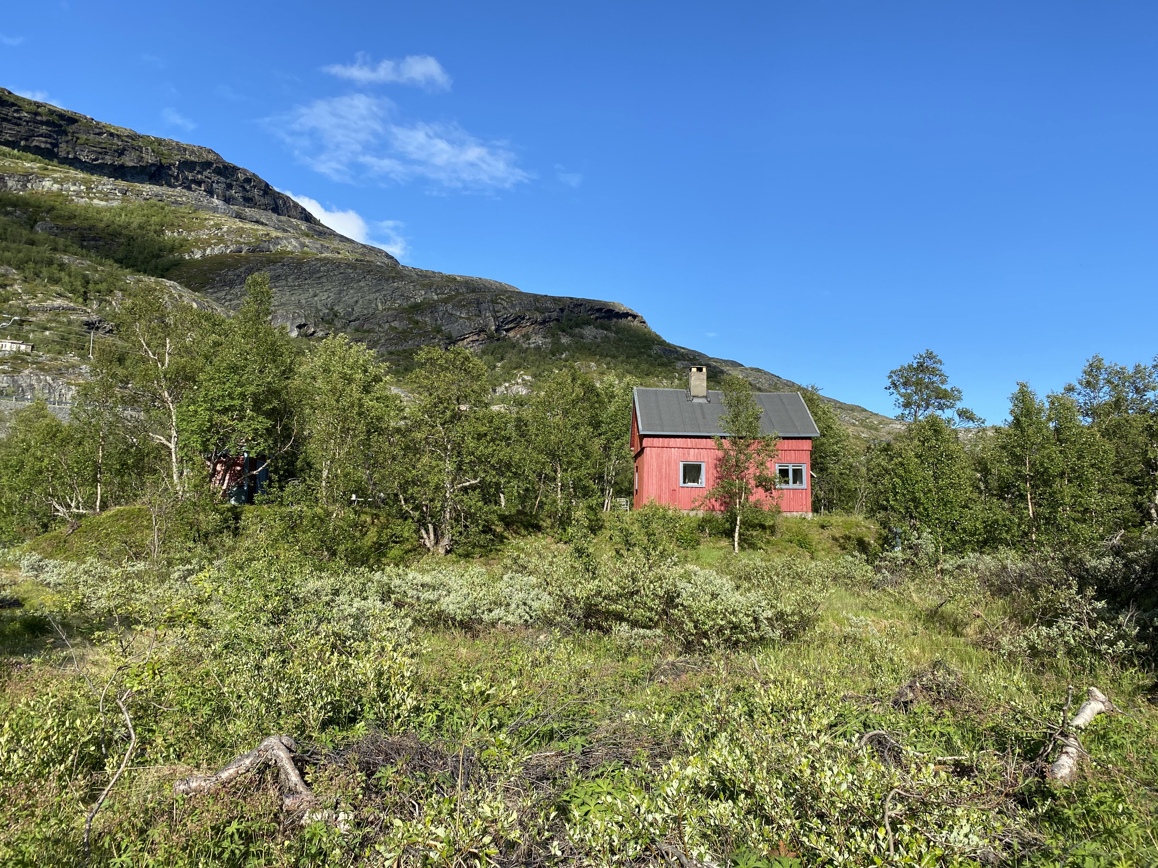 Naturhäuschen in Holsbru  Årdal kommune