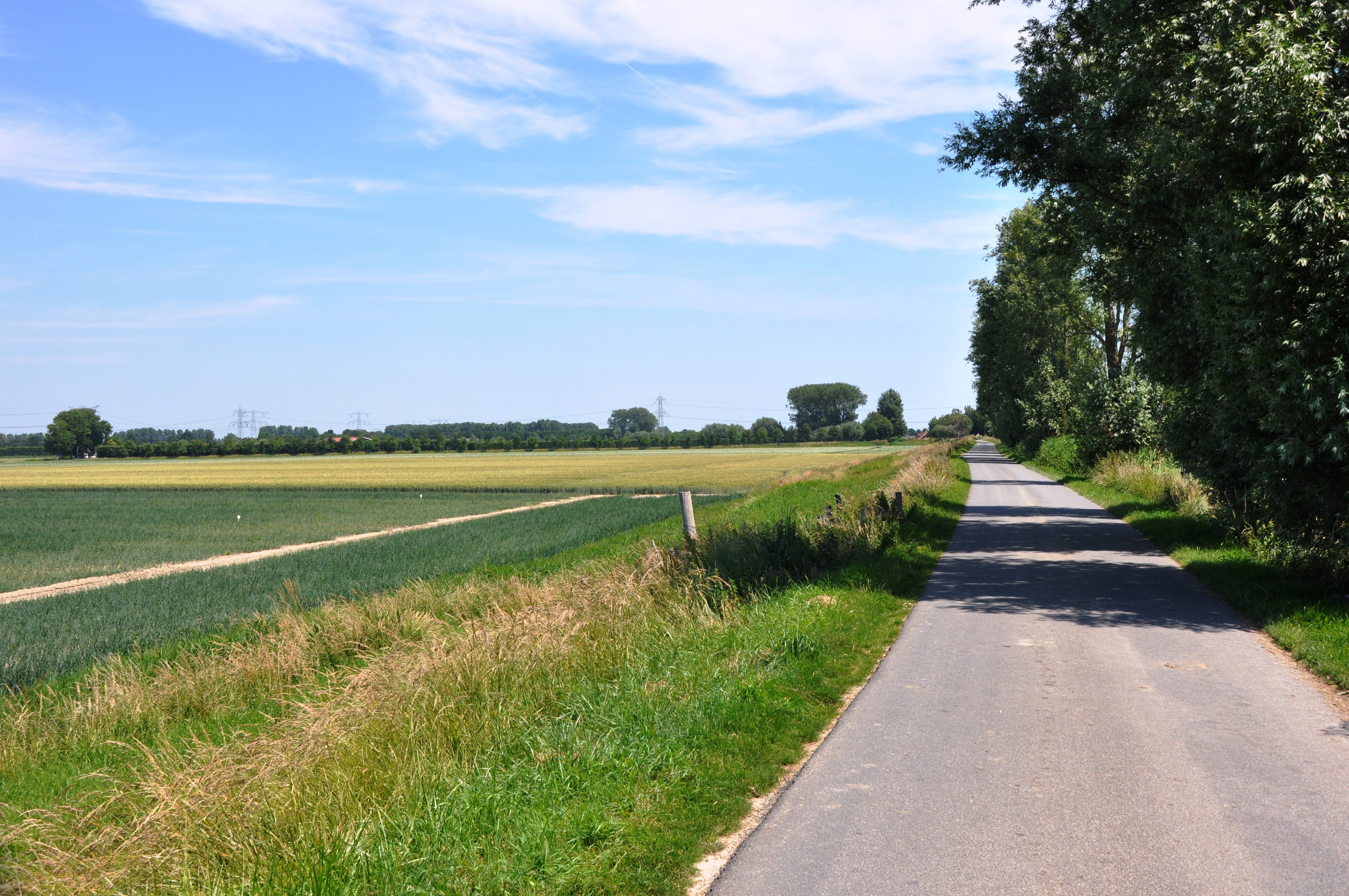 Natuurhuisje in Ellewoutsdijk