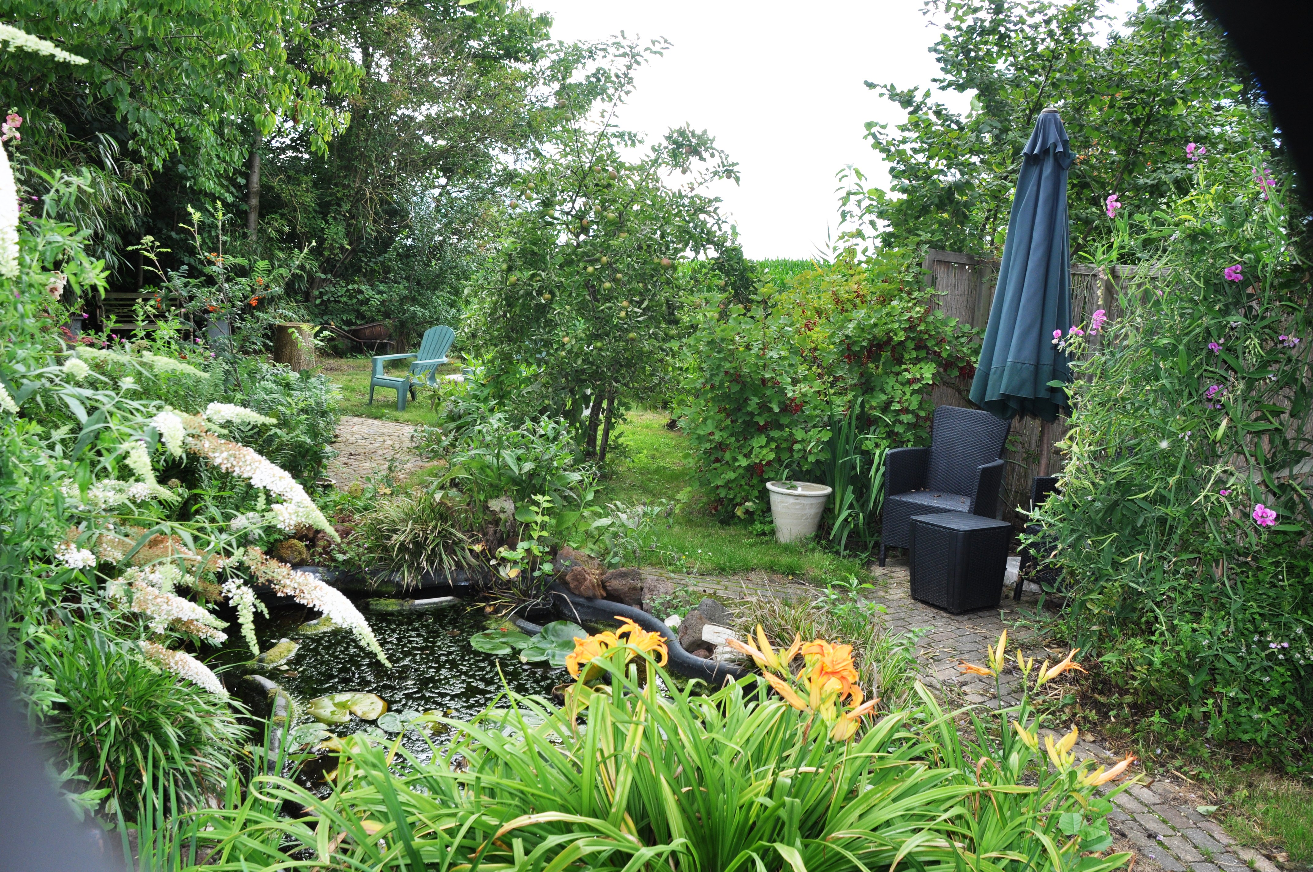 Natuurhuisje in Ellewoutsdijk