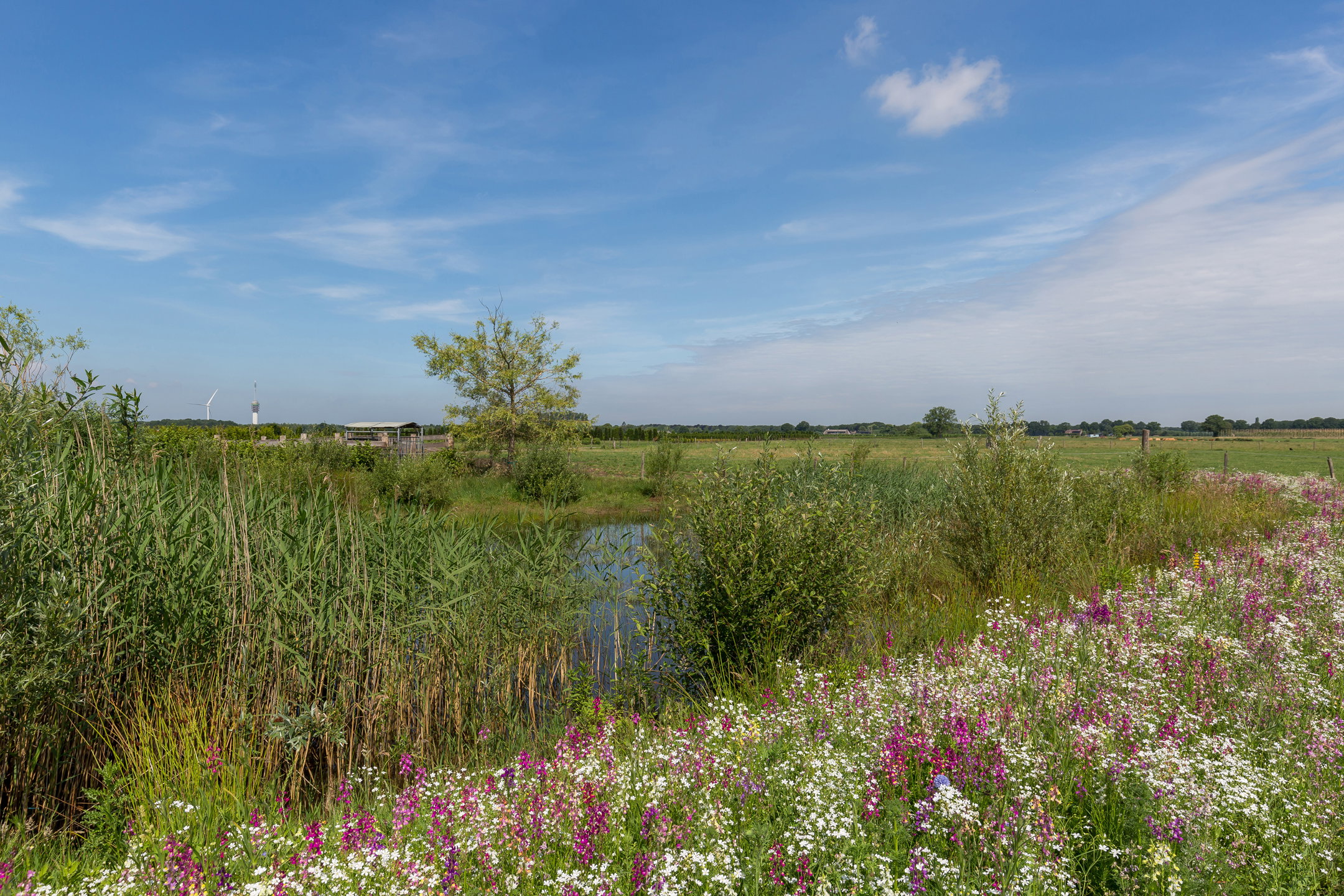 Casa nella natura a Tilburg