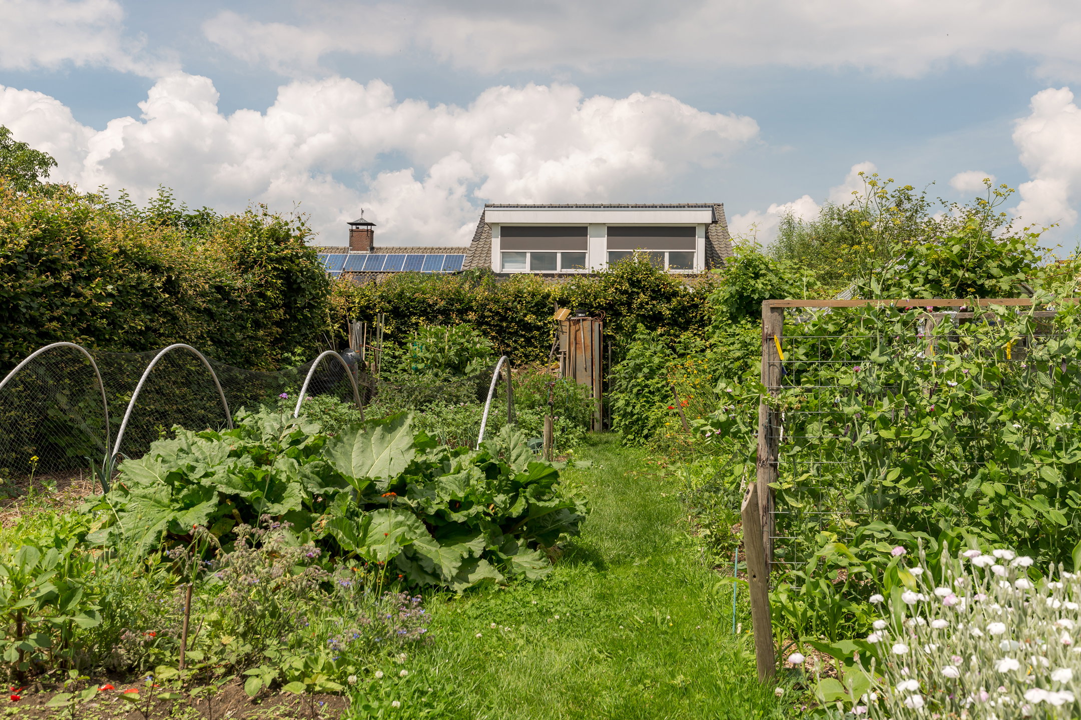 Casa nella natura a Tilburg