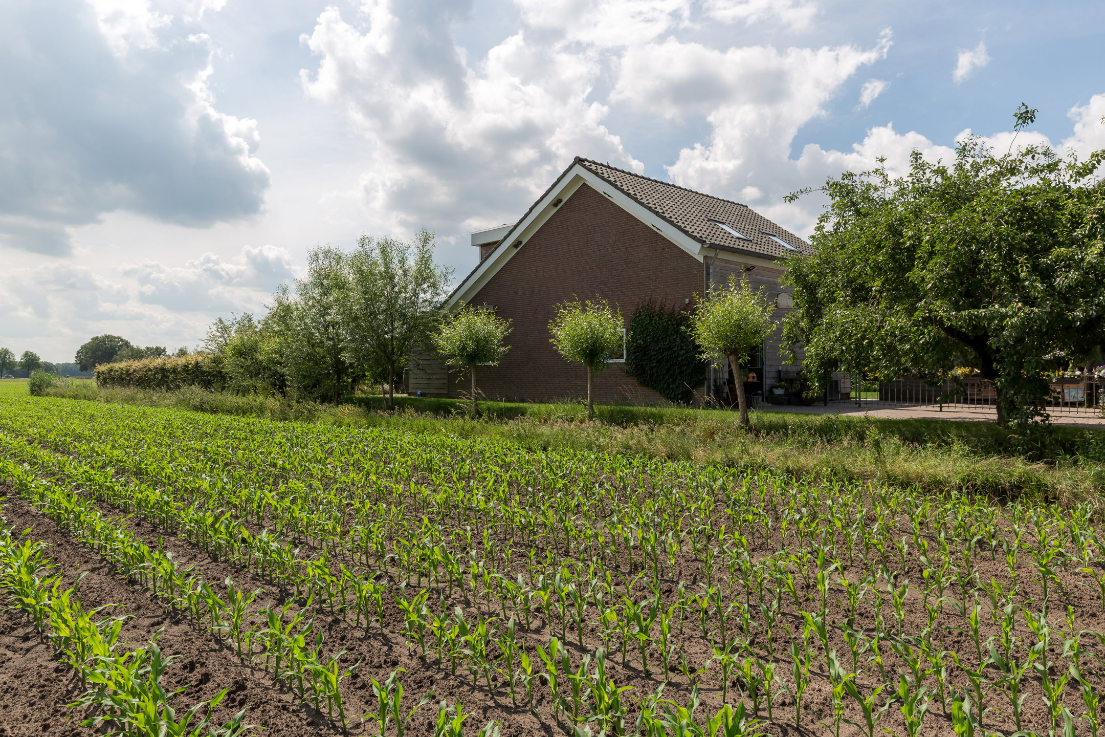 Casa nella natura a Tilburg