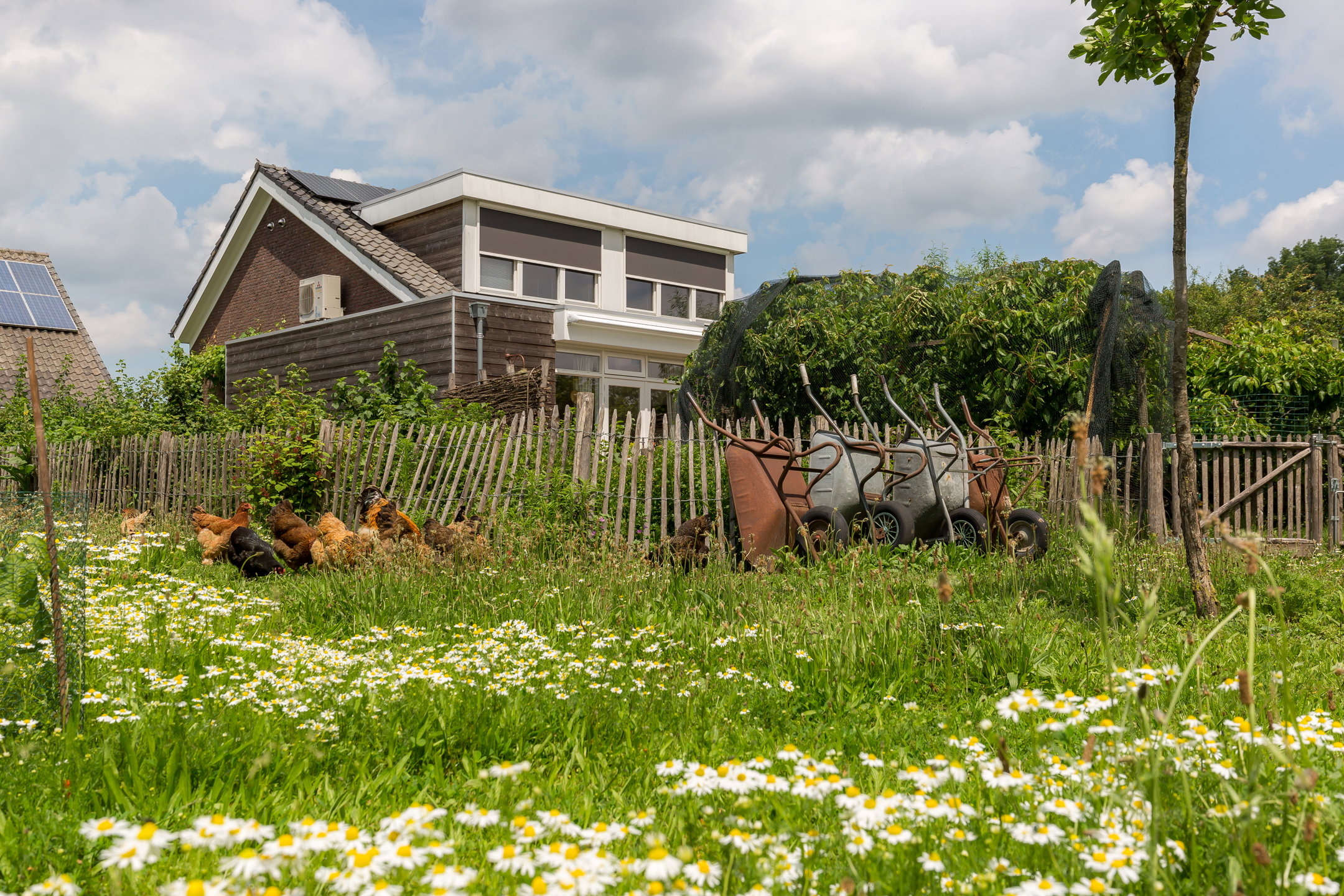 Casa nella natura a Tilburg