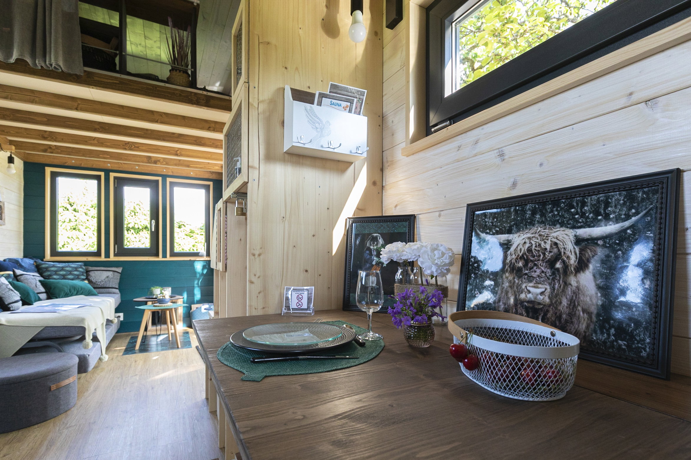 - image: 16