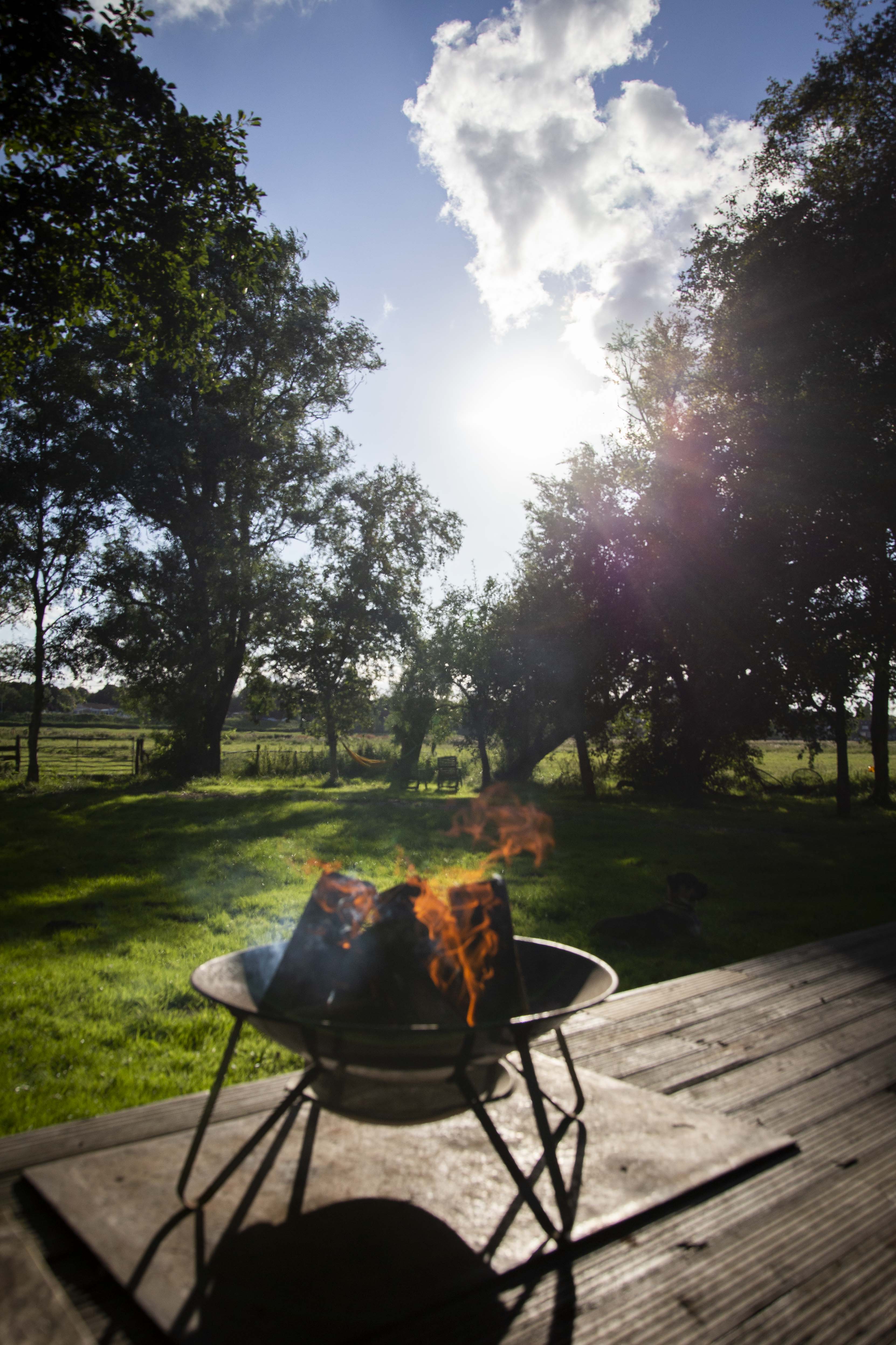 - image: 36
