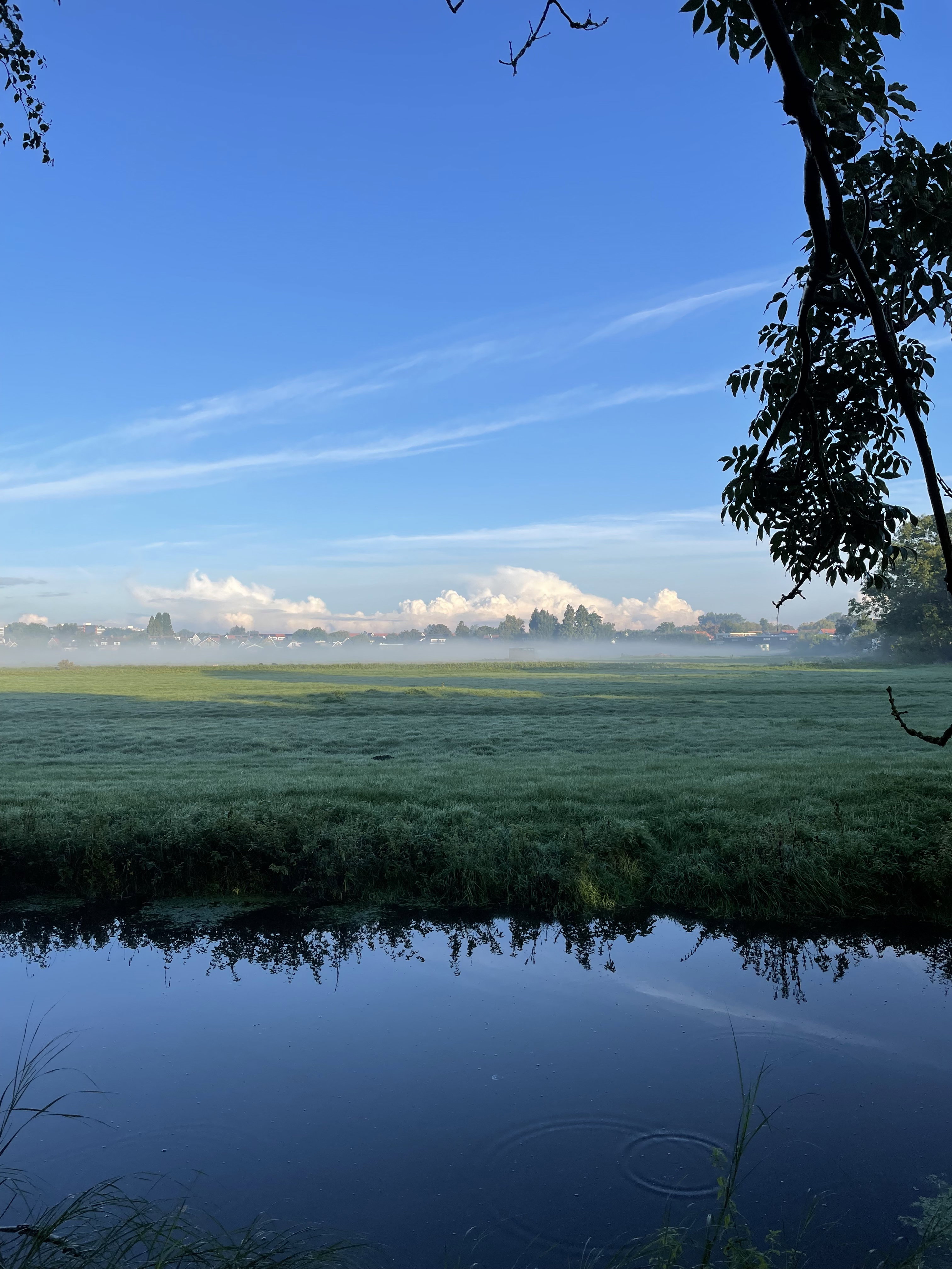 Naturhäuschen in Amsterdam