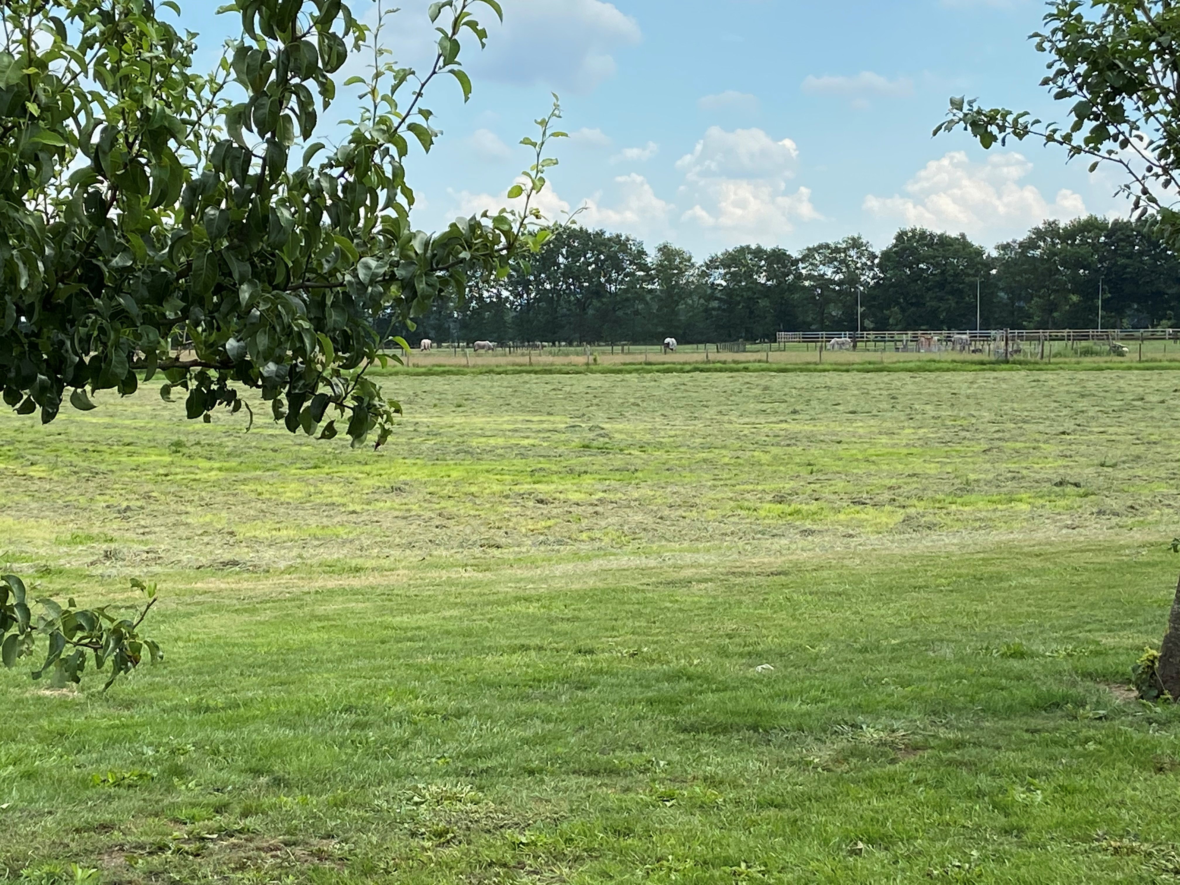 Naturhäuschen in Beilen