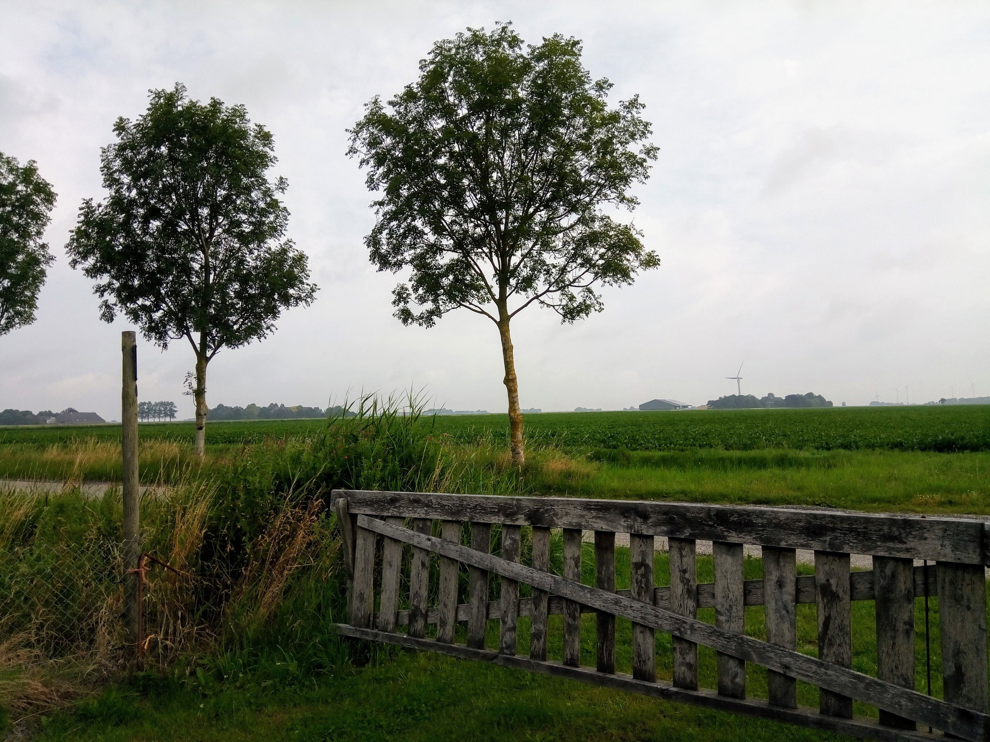 Maison nature à Uithuizermeeden
