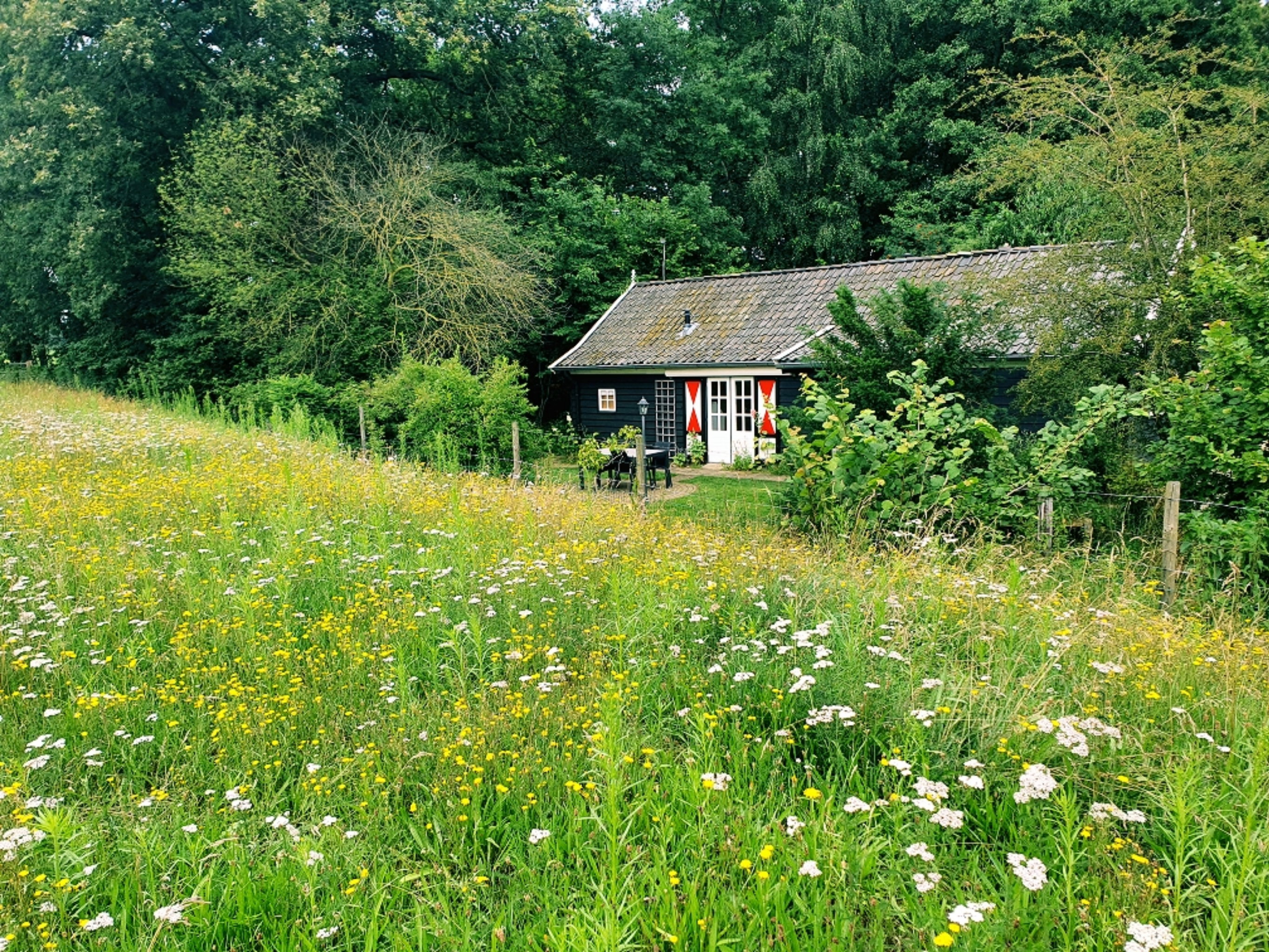 Naturhäuschen in Aalten