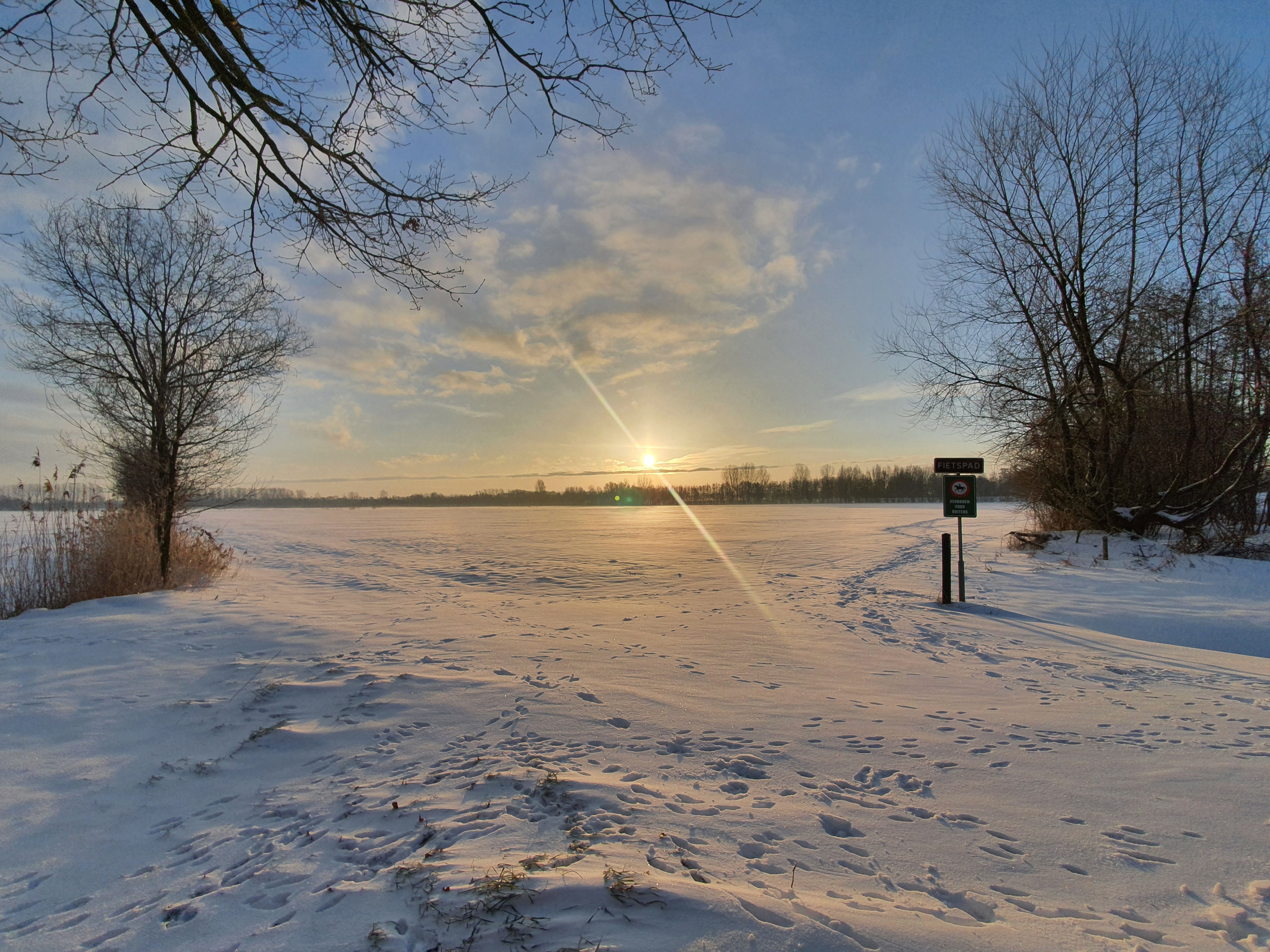 - image: 25