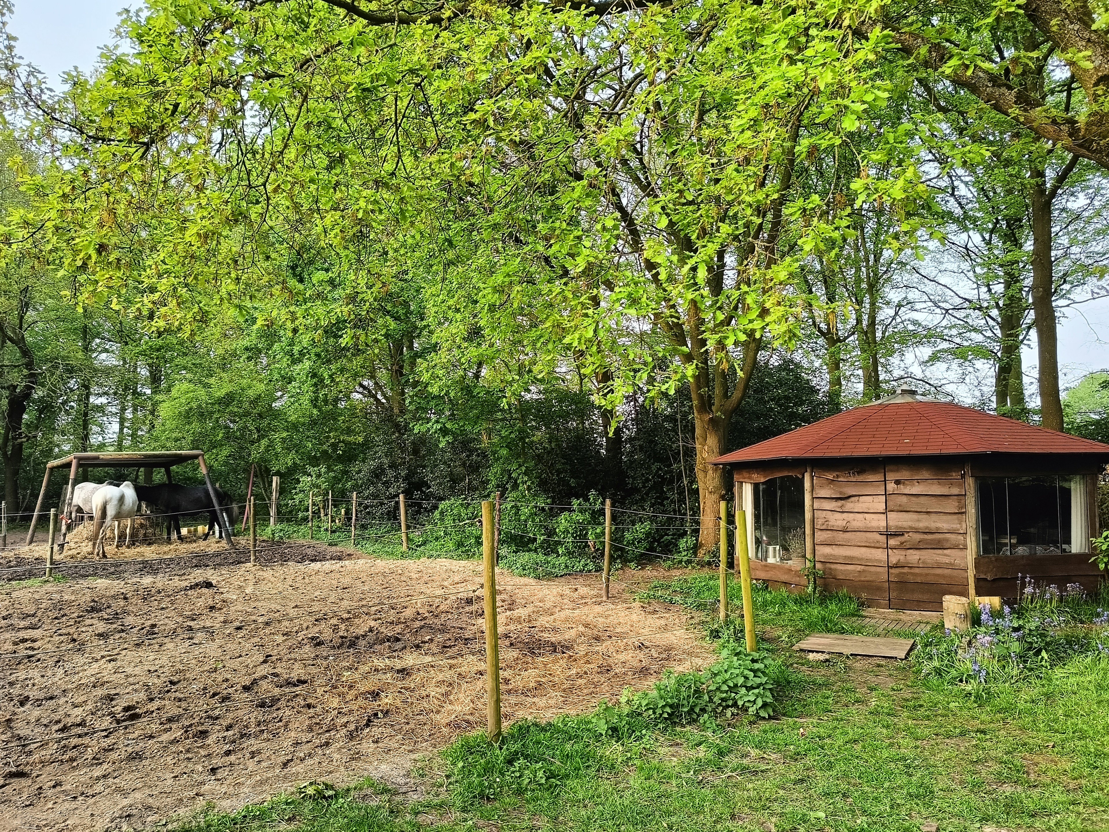 Natuurhuisje in Sijsele