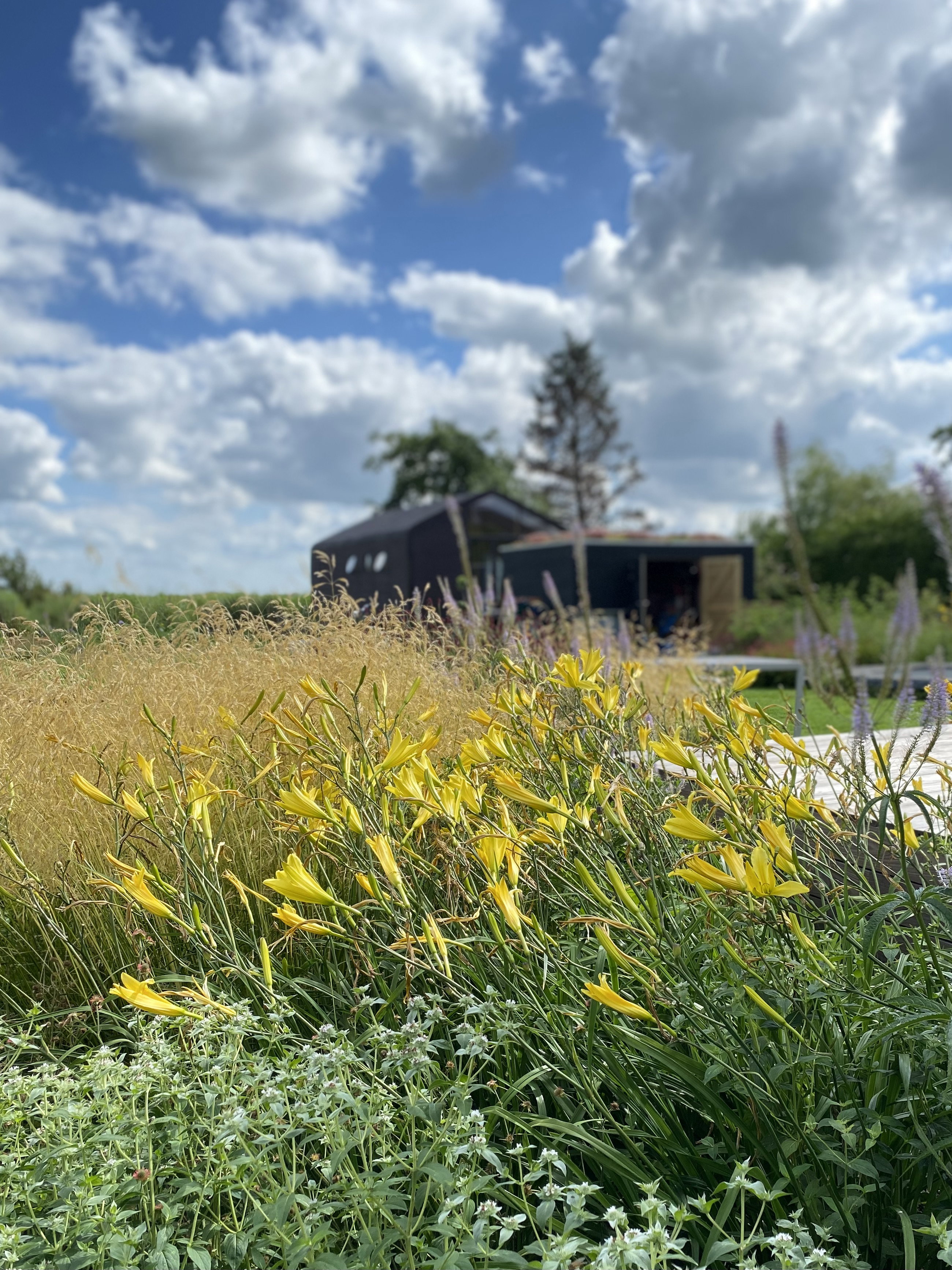 Casa nella natura a Noorden
