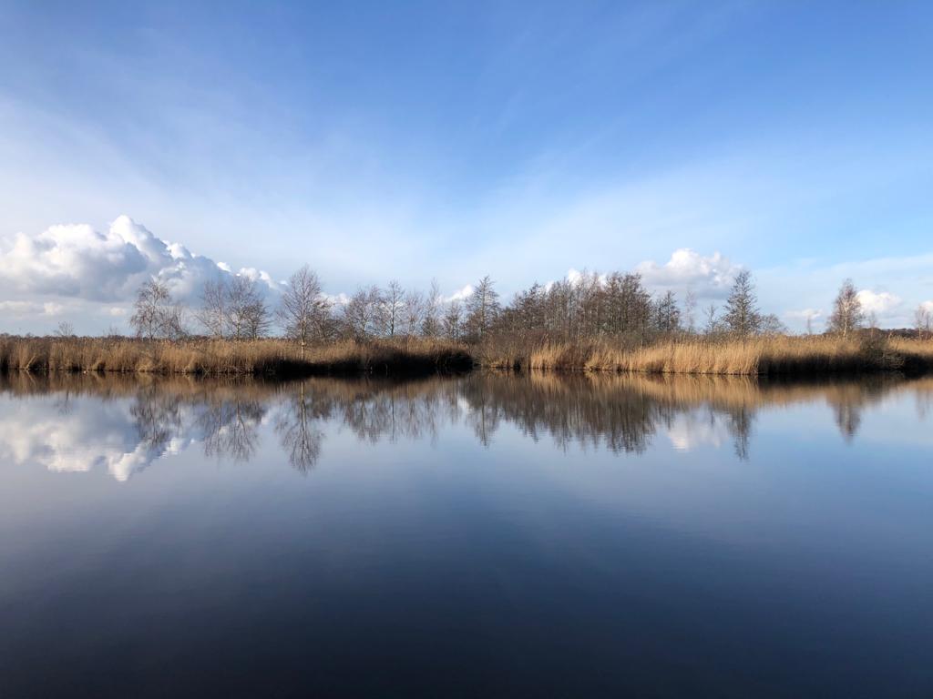 - image: 24