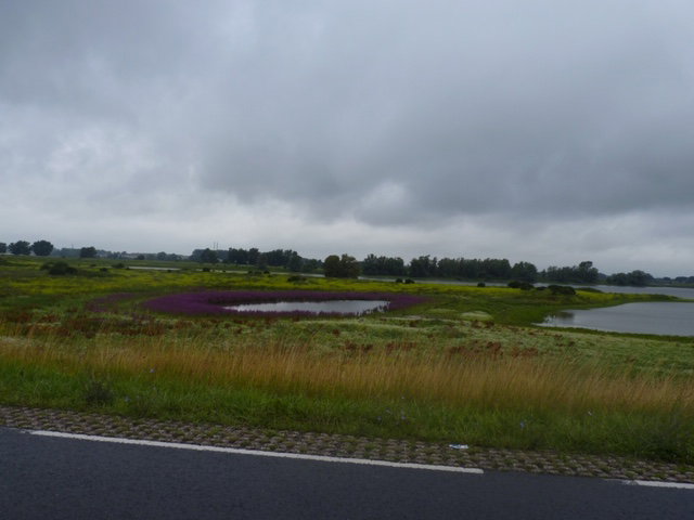 - image: 23