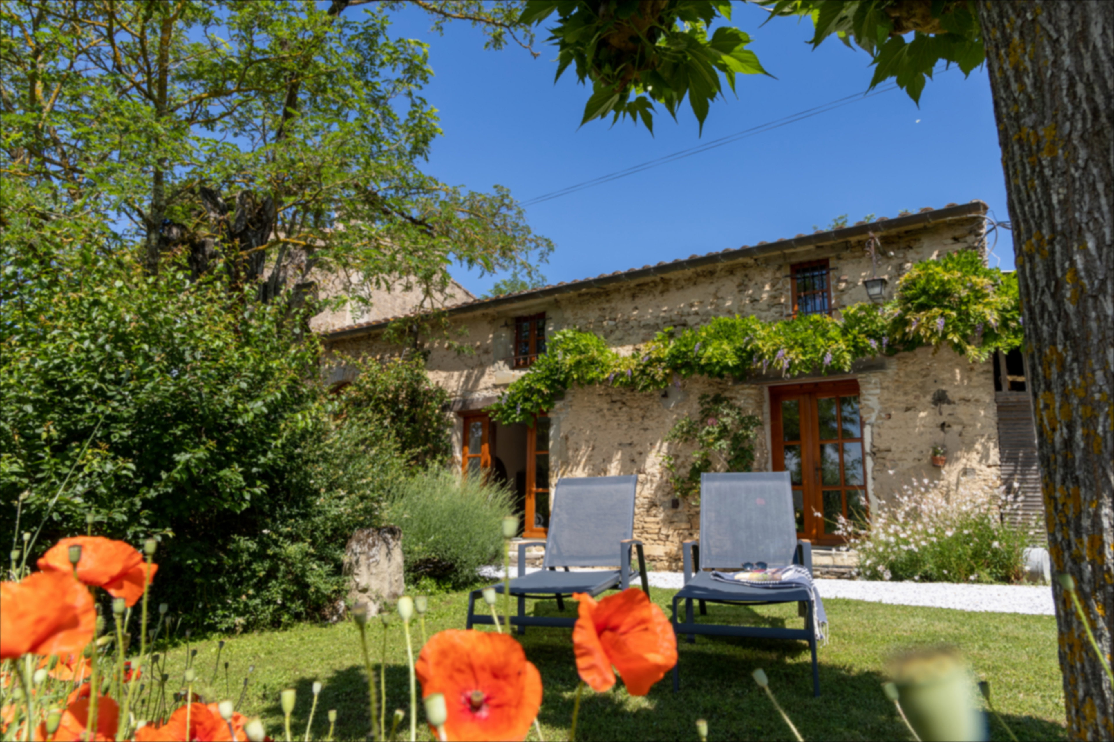 Nature house in Raissac sur Lampy