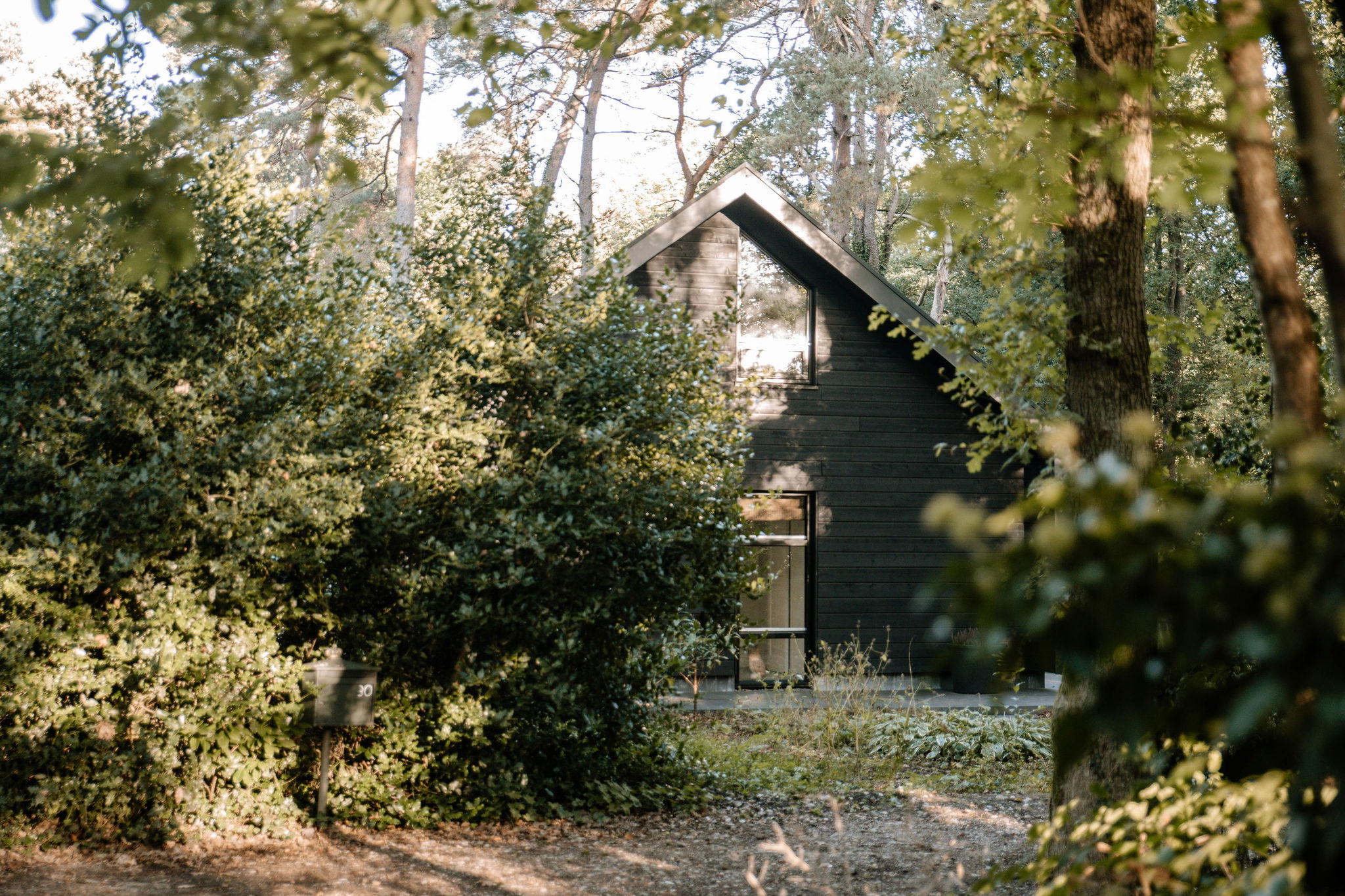 Maison nature à Appelscha