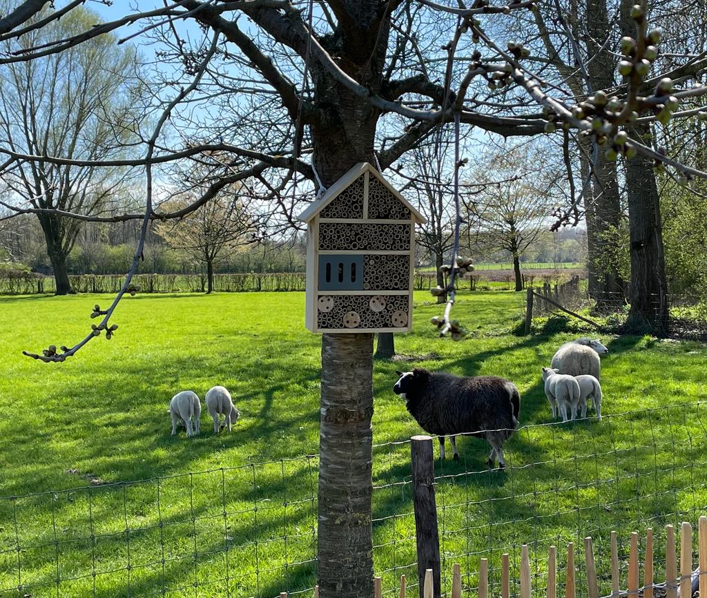 Casa nella natura a Susteren