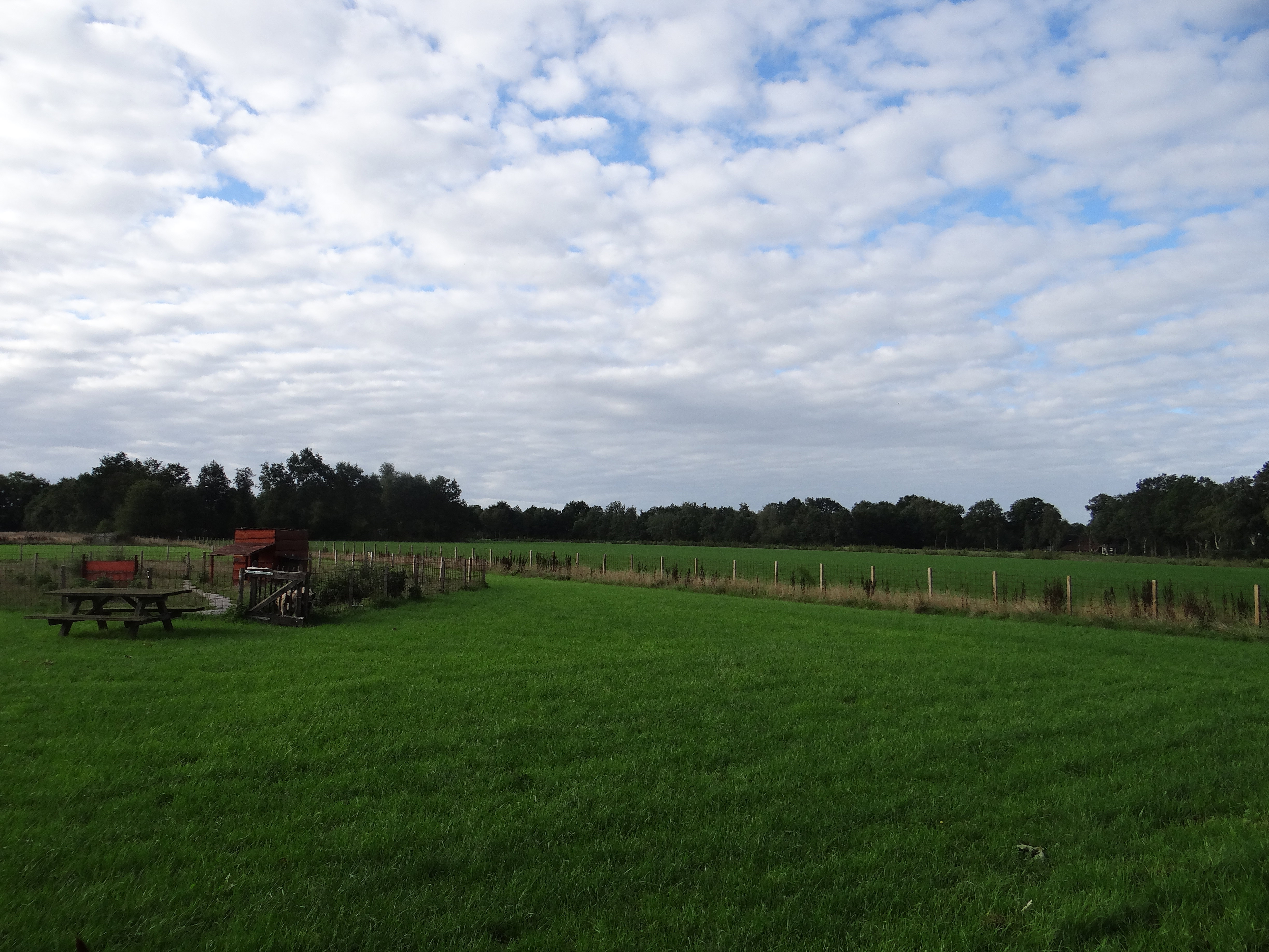 Natuurhuisje in Ruinen