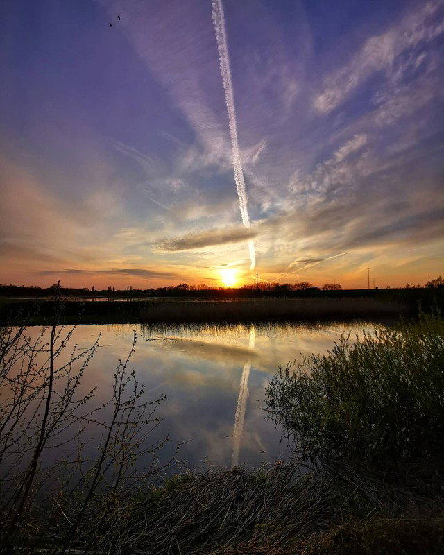 - image: 23