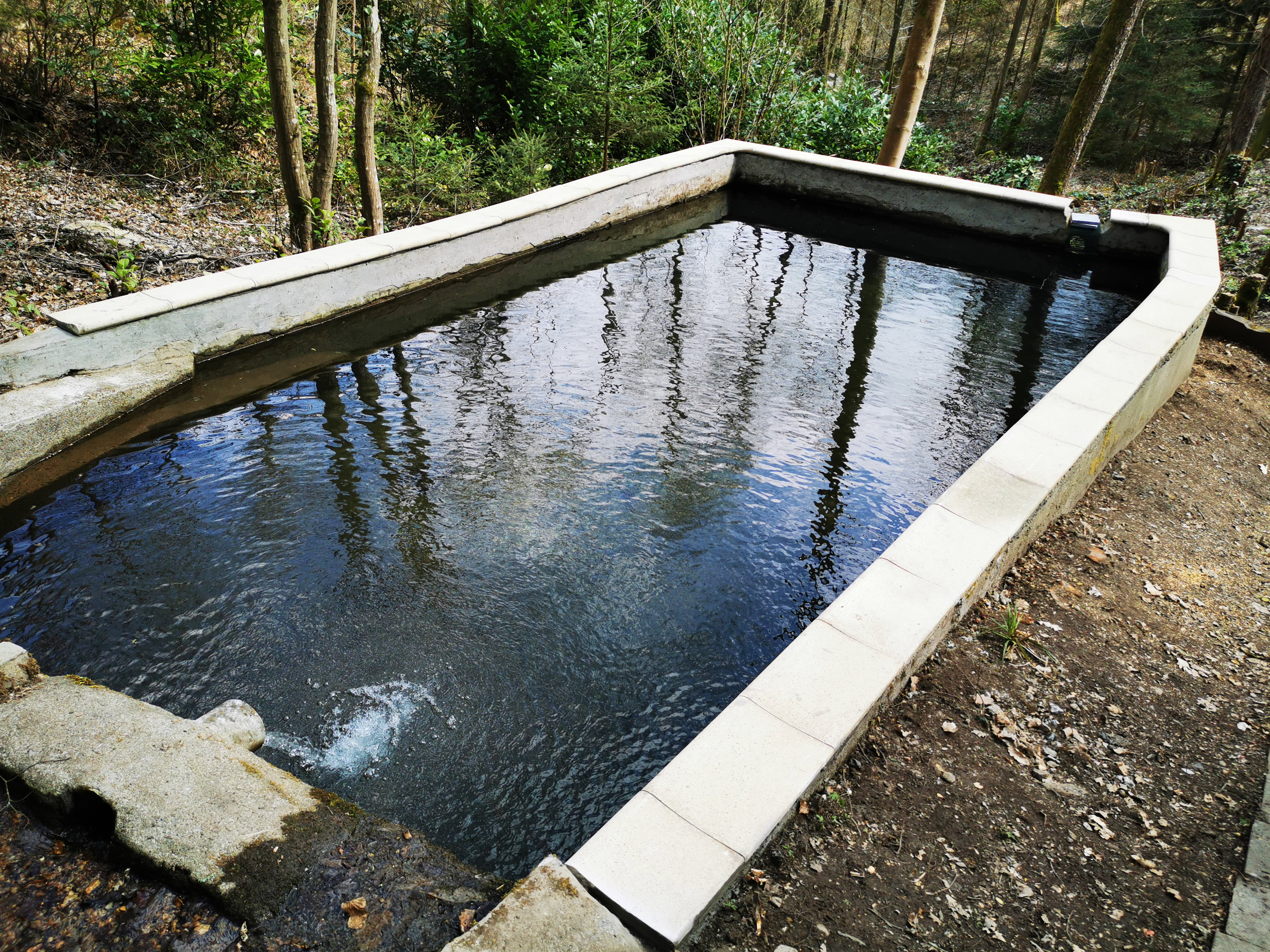 Natuurhuisje in Oignies-En-Thiérache (Viroinval)