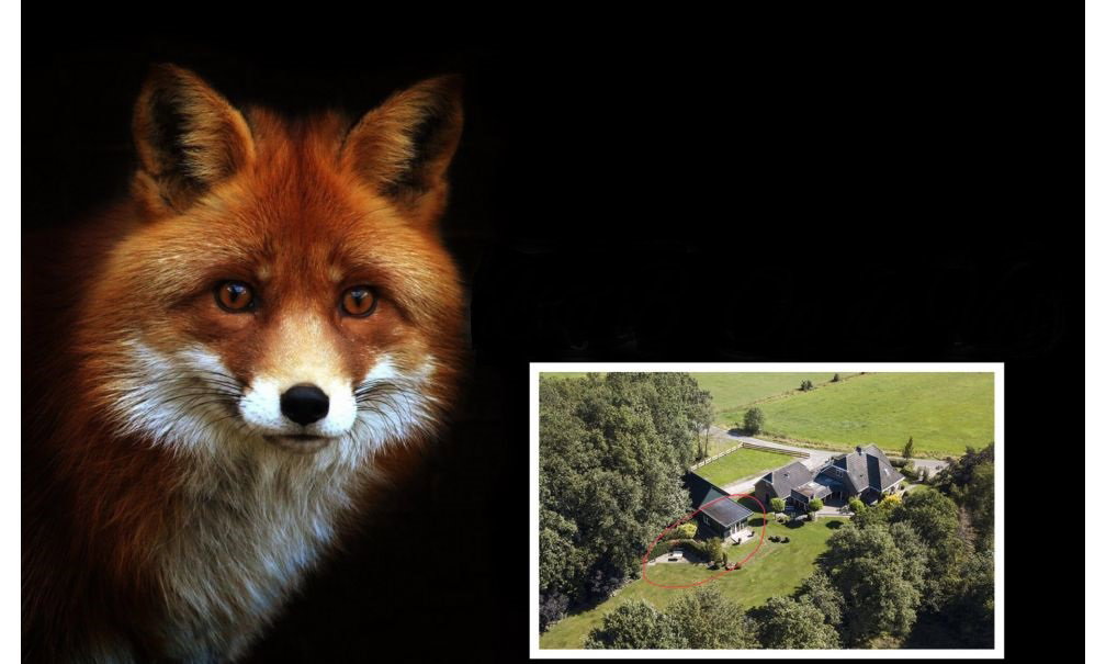 Casa nella natura a Dalen (dorp)