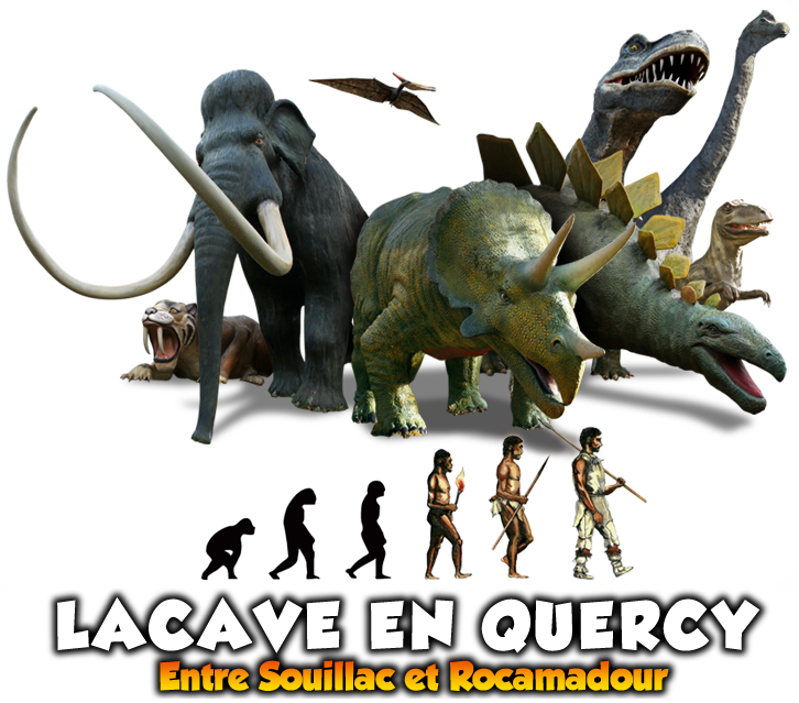 - image: 43