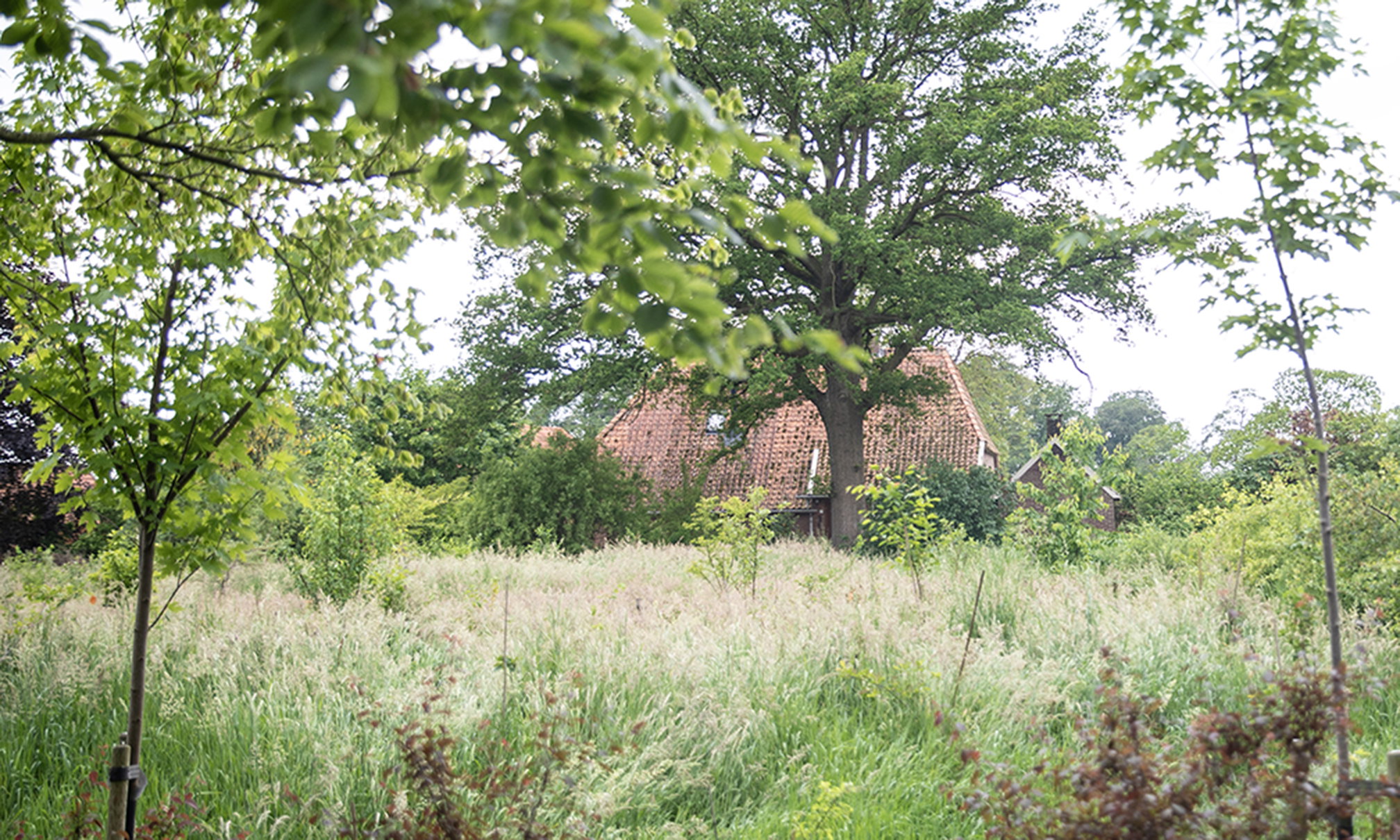 Naturhäuschen in Geesteren
