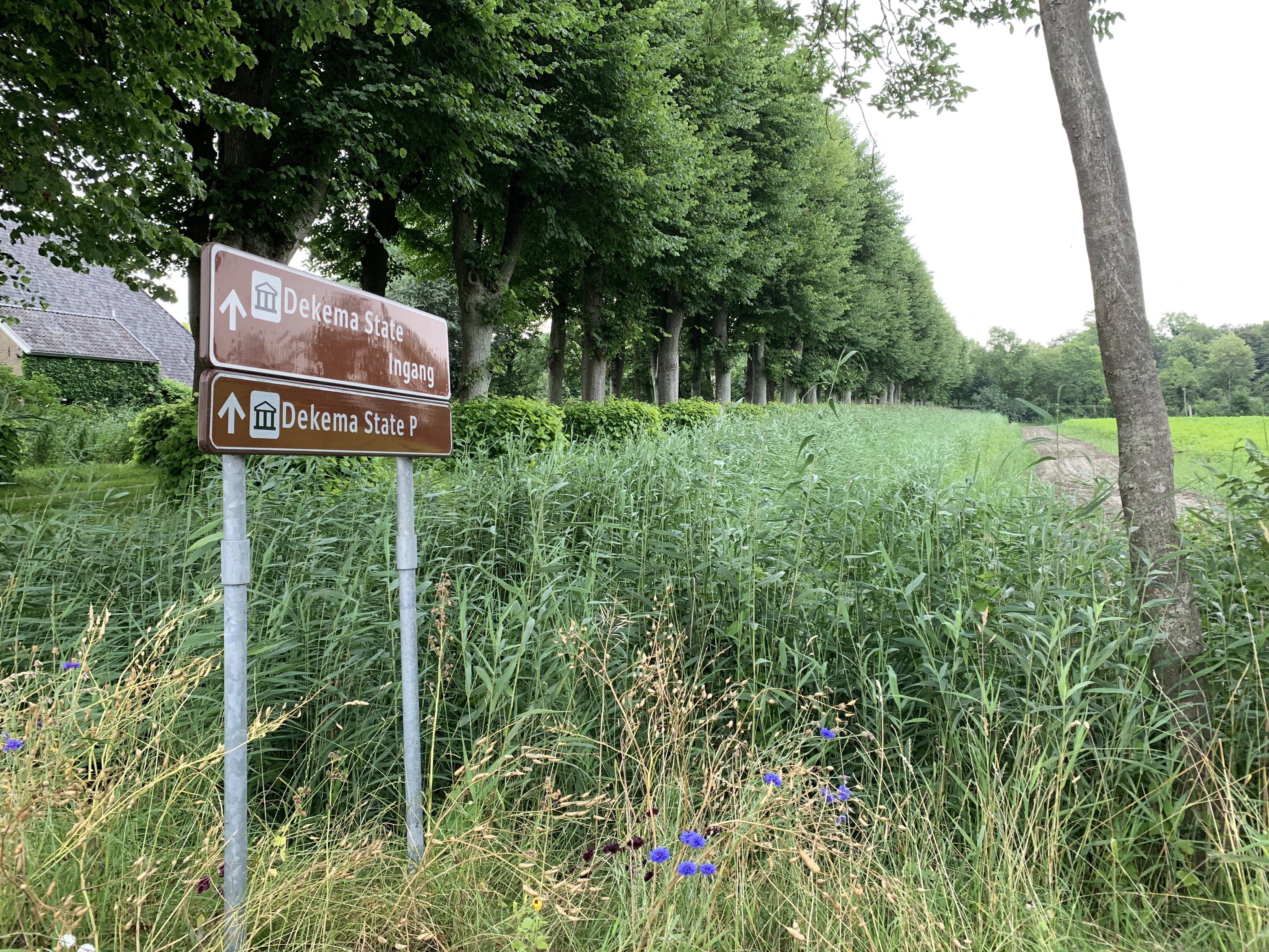 - image: 25