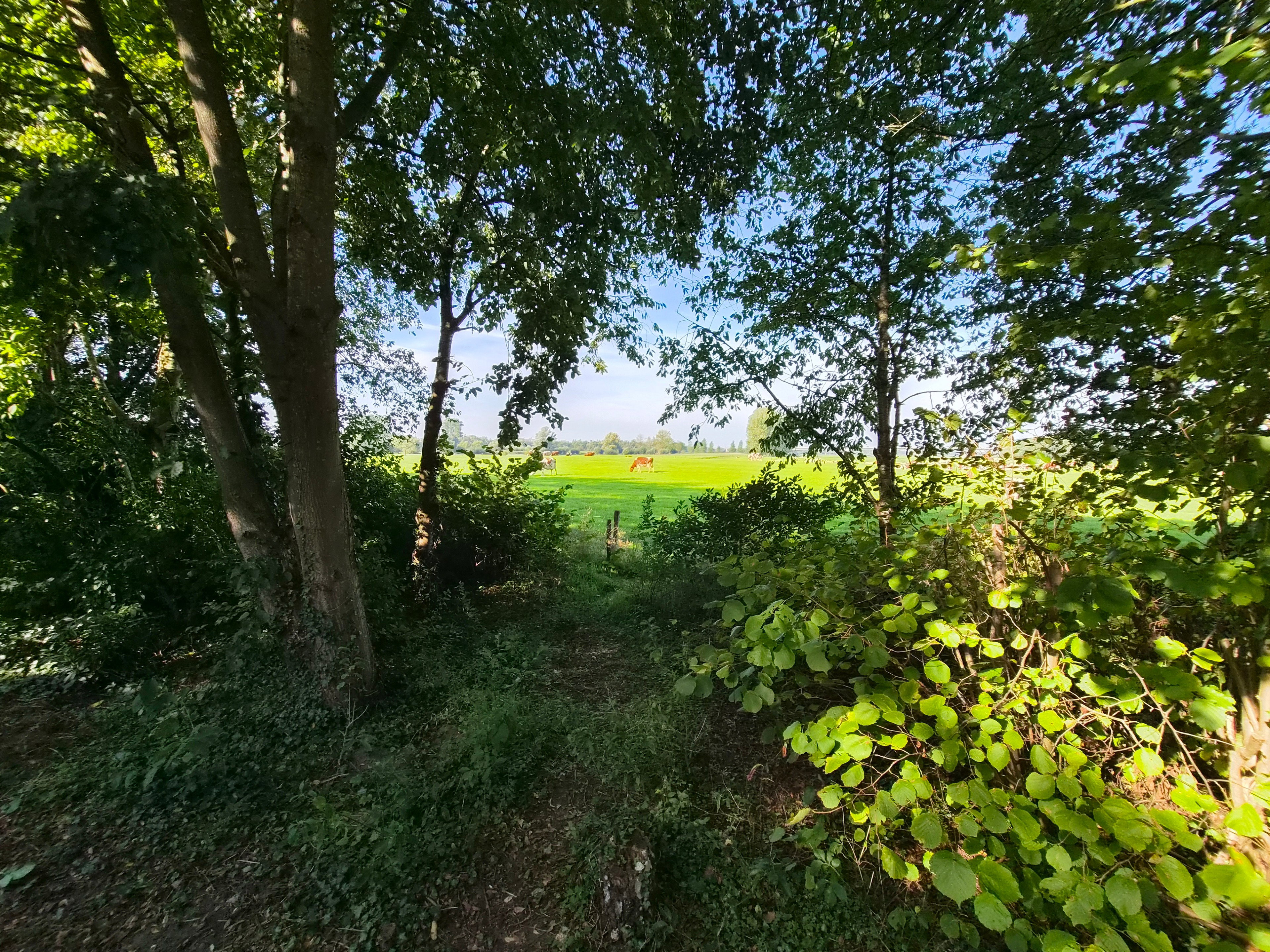 Natuurhuisje in Epse