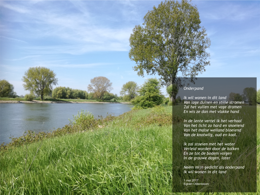 - image: 18
