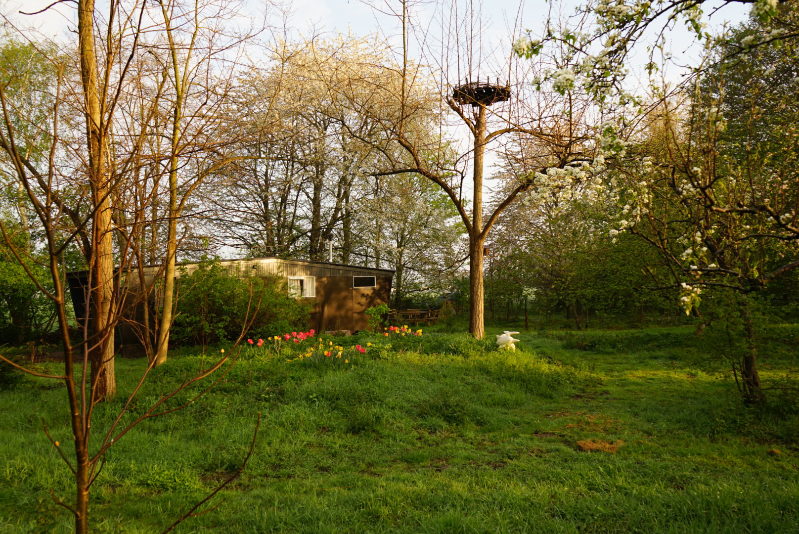 Casa nella natura a Epse