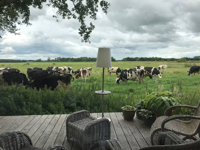 Maison nature à De Wolden