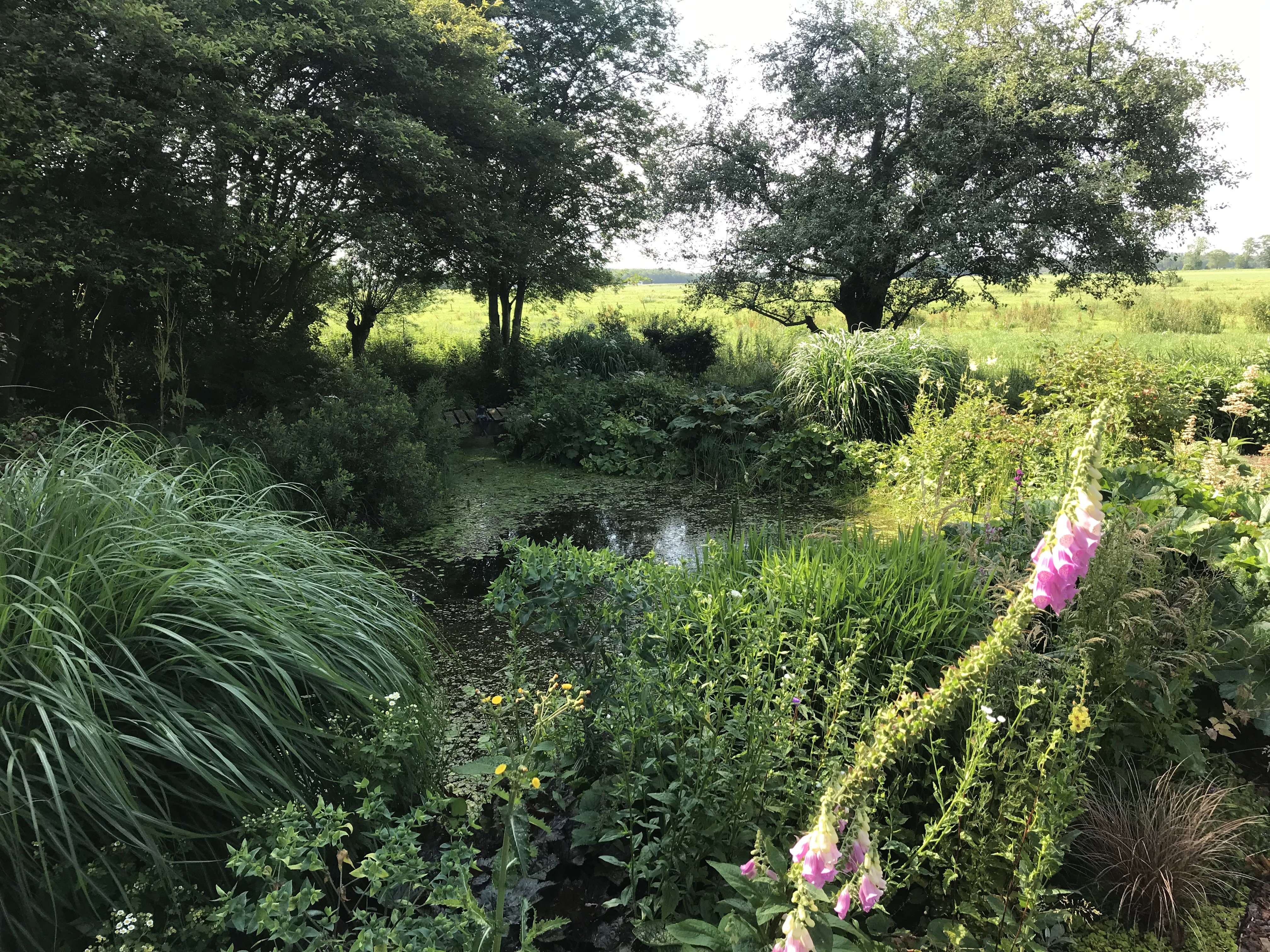 Maison nature à De Wolden