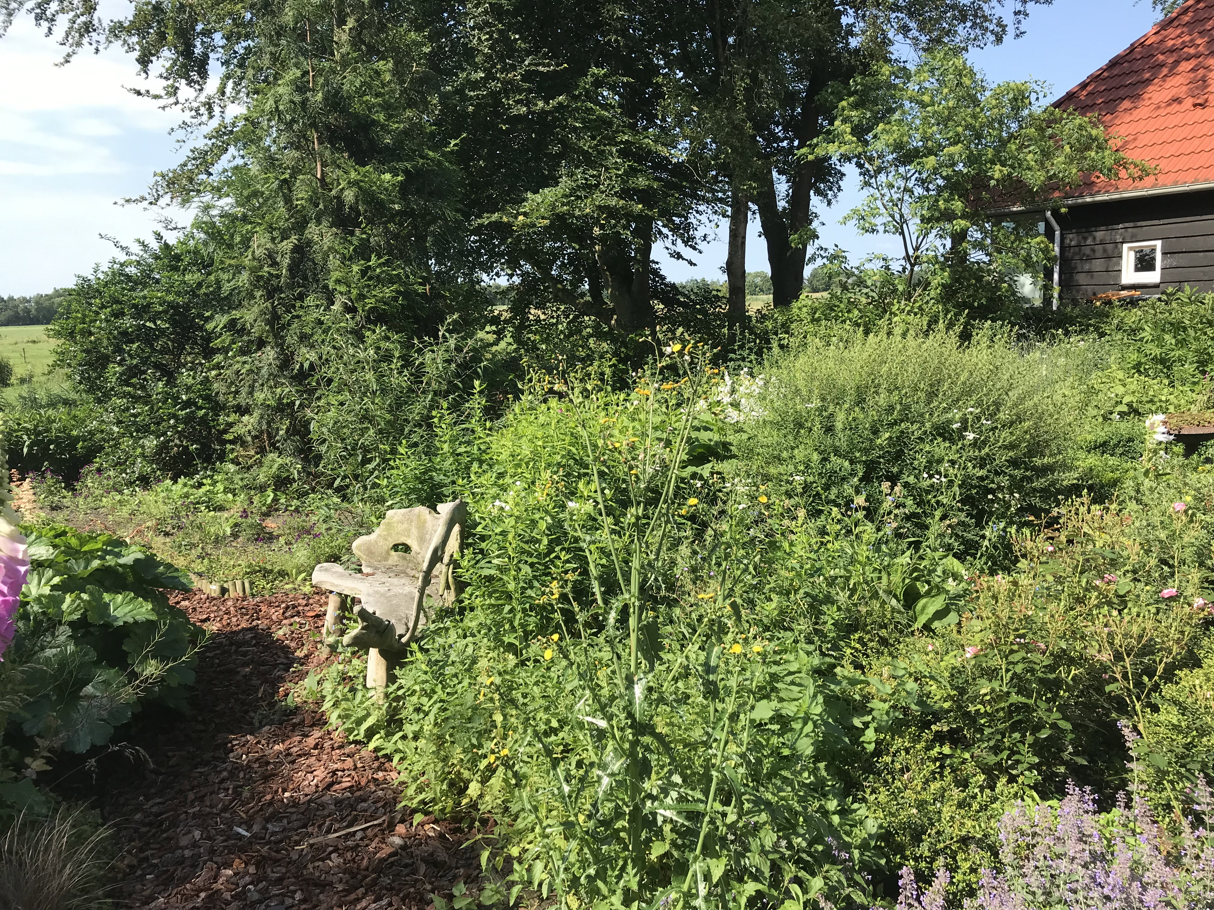 Maison nature à De Wolden