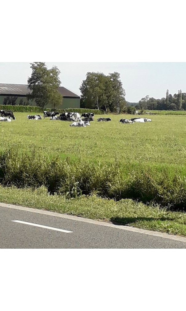 Casa nella natura a Nieuweroord