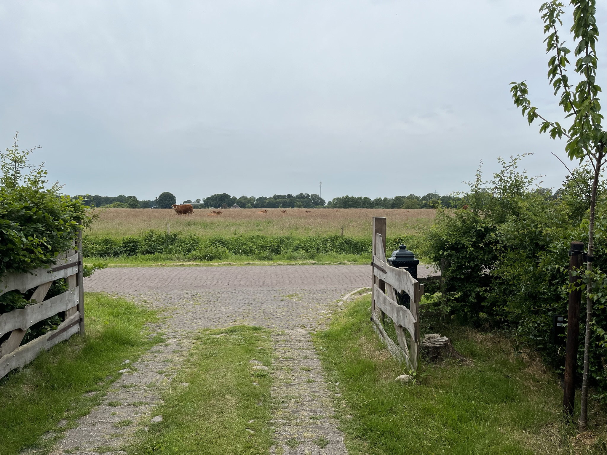 - image: 22