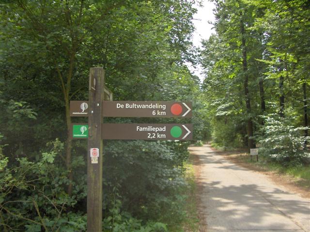 - image: 15