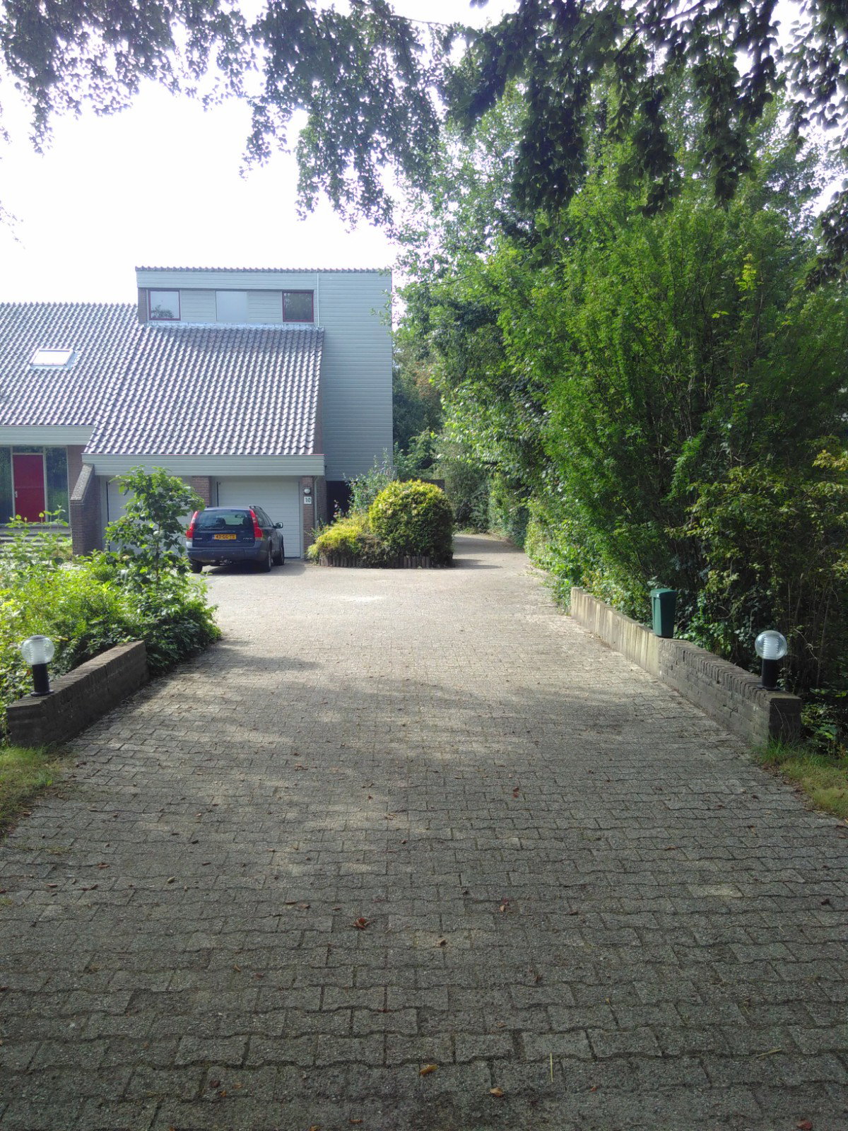 - image: 4