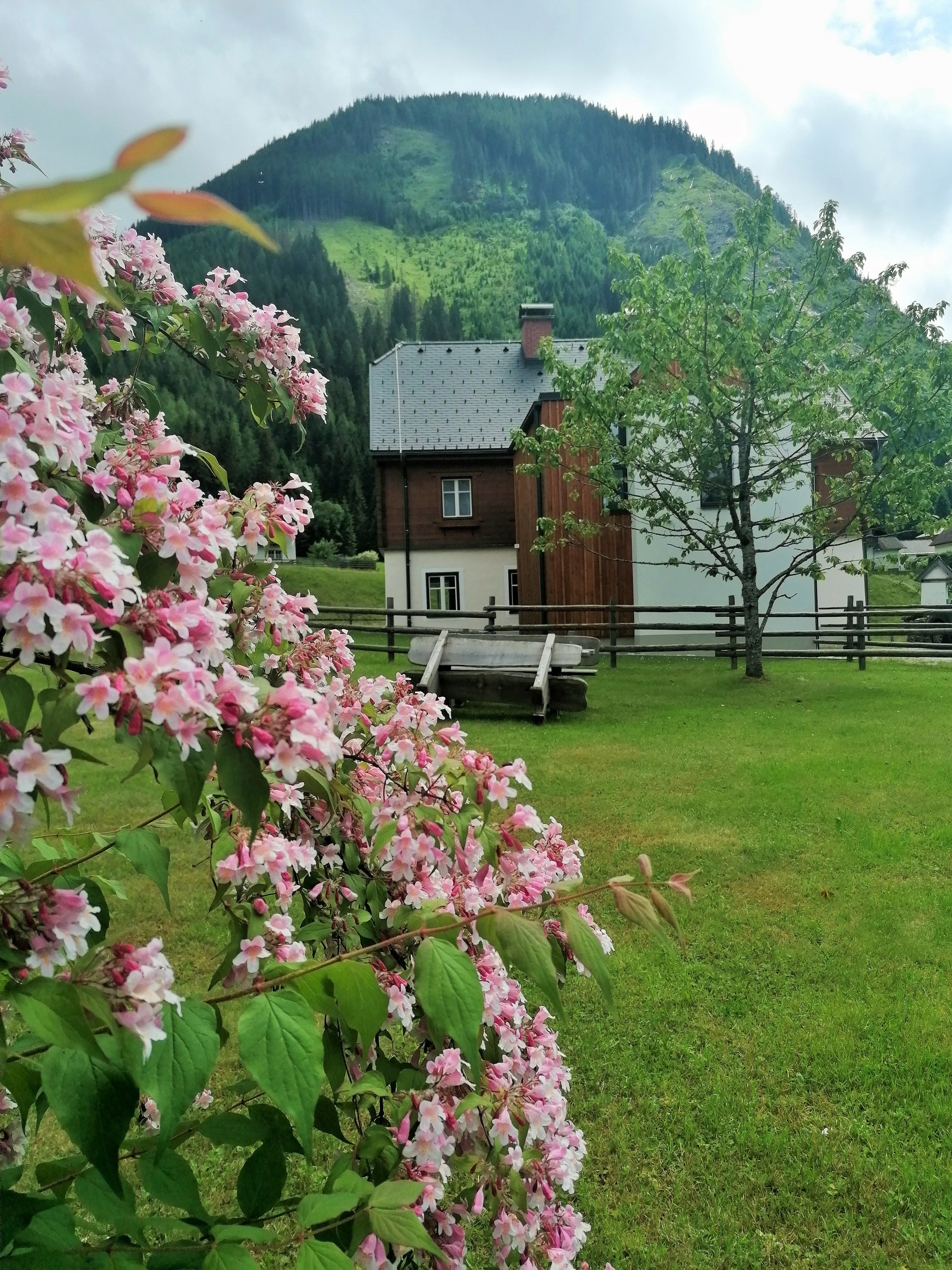 Natuurhuisje in sölk