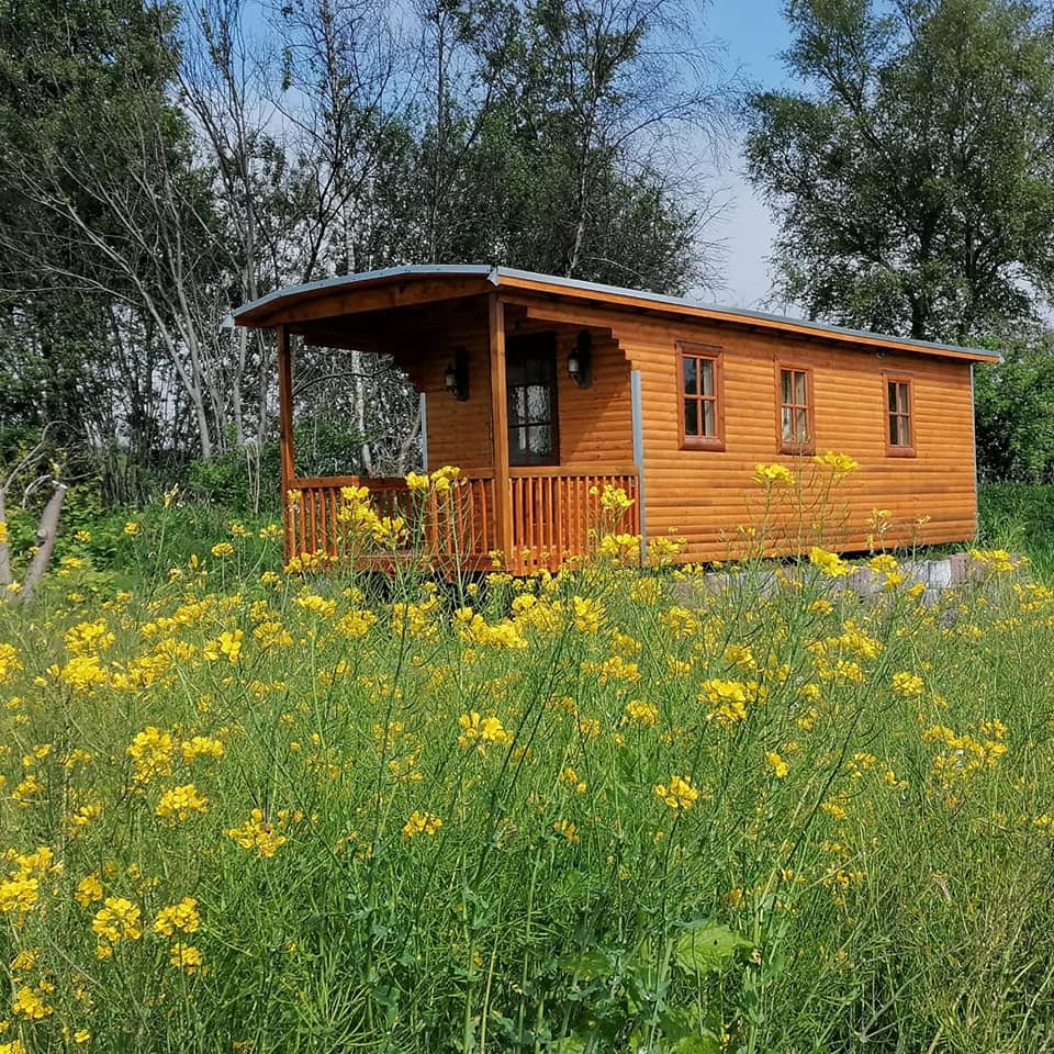 Natuurhuisje in Wapserveen