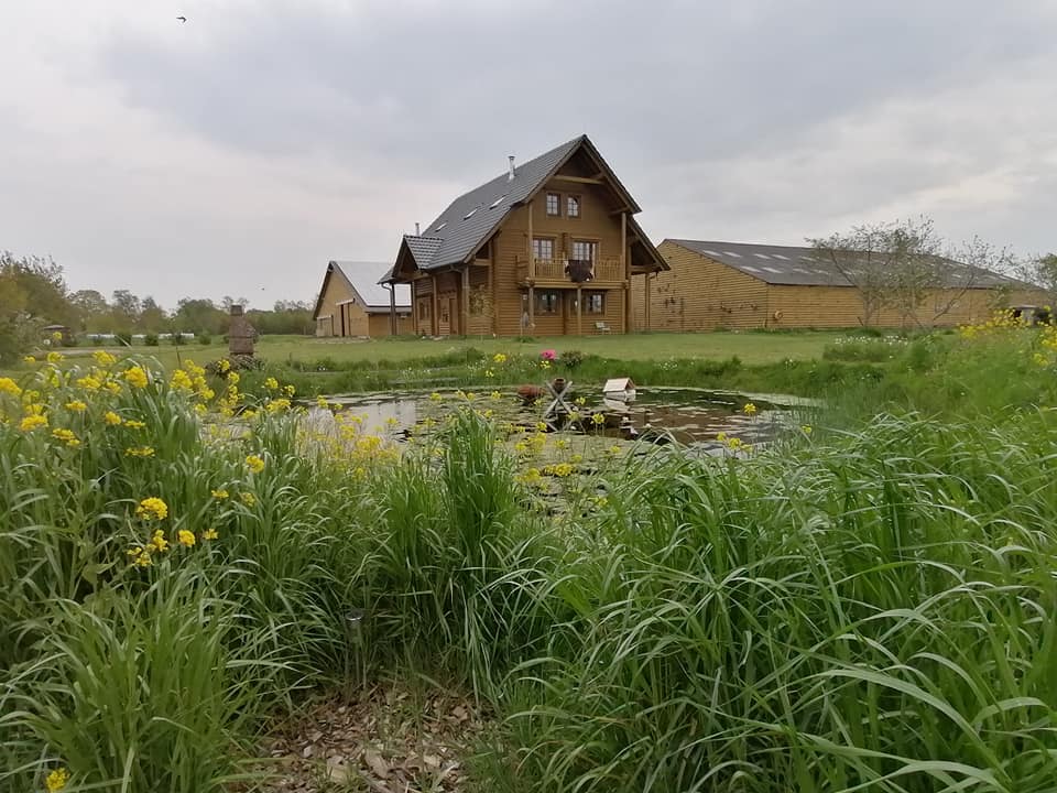 Natuurhuisje in Wapserveen