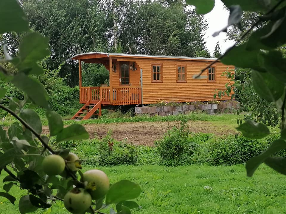 Natuurhuisje in Wapserveen
