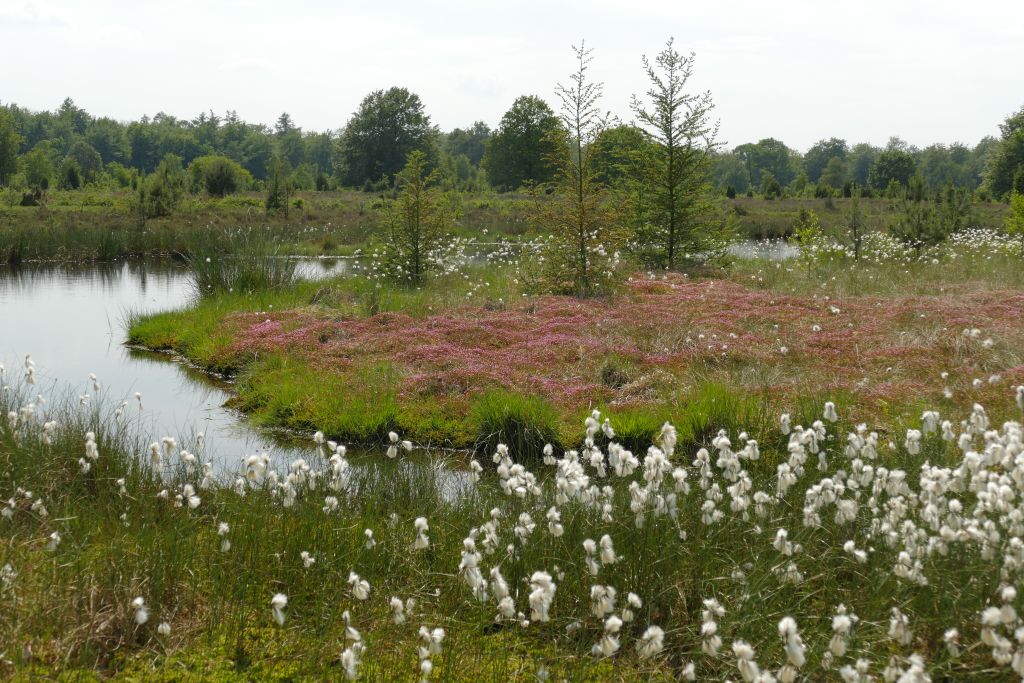 Casa nella natura a Elp
