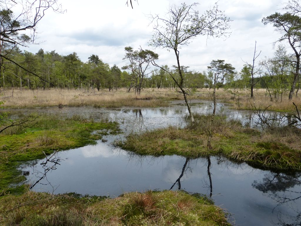 Casa nella natura a Elp