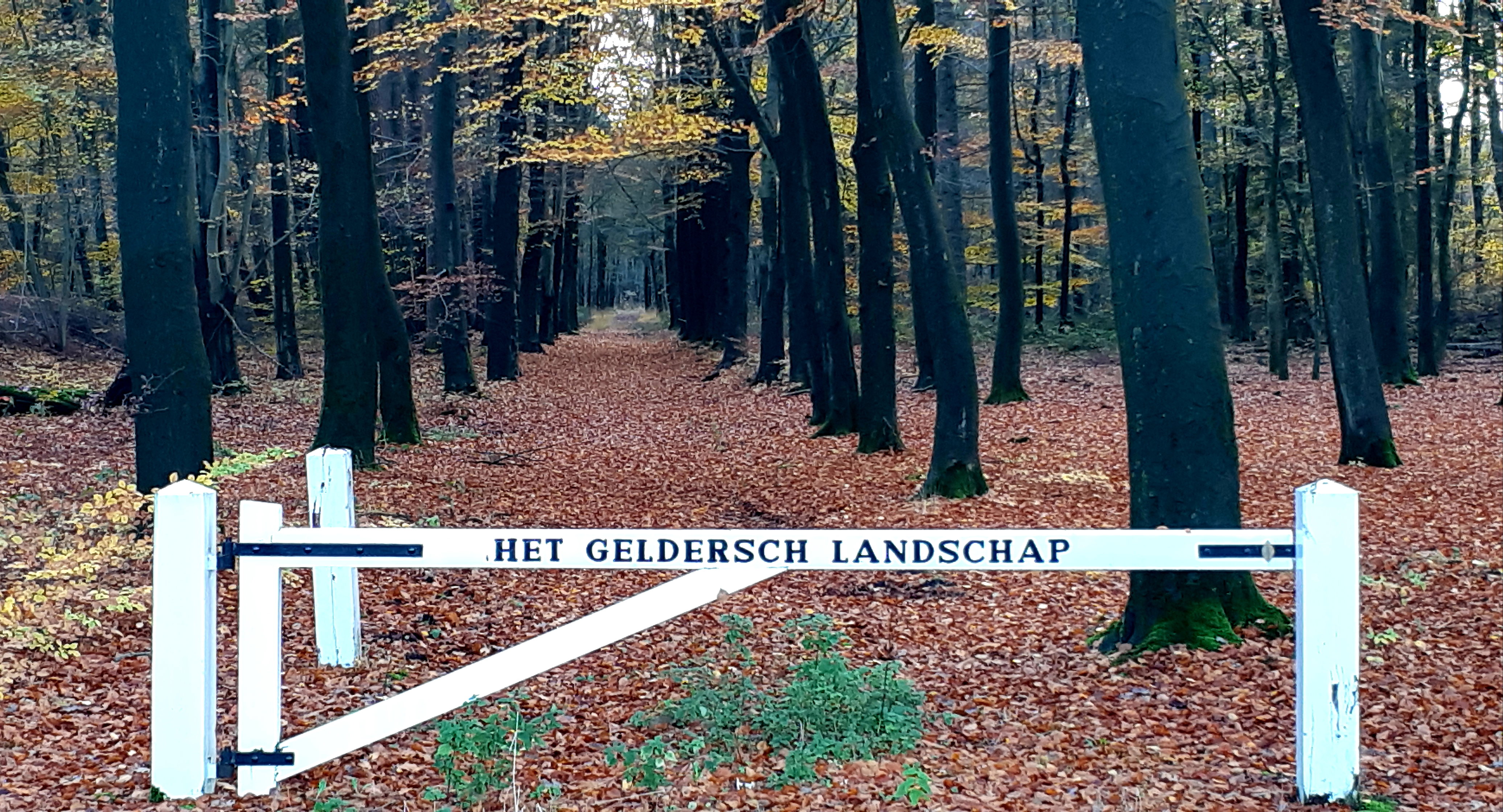 - image: 24